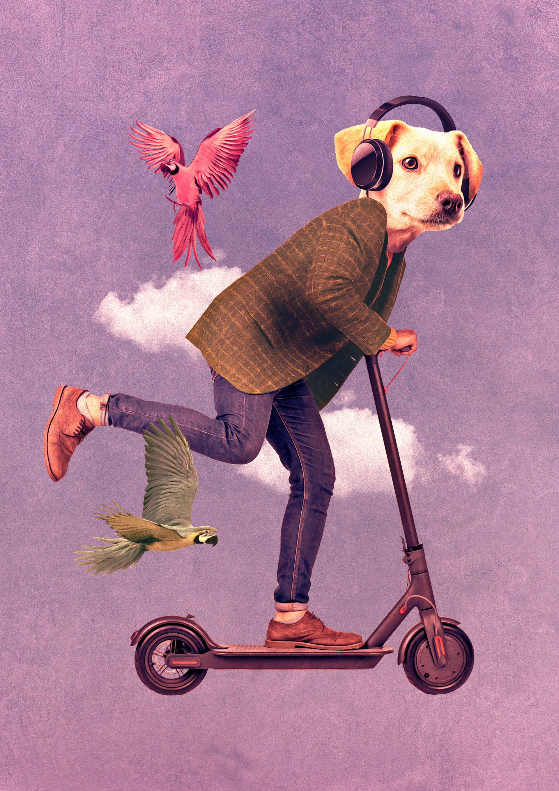 Illustration Programmation culturelle - On sort - Mauges sur Loire