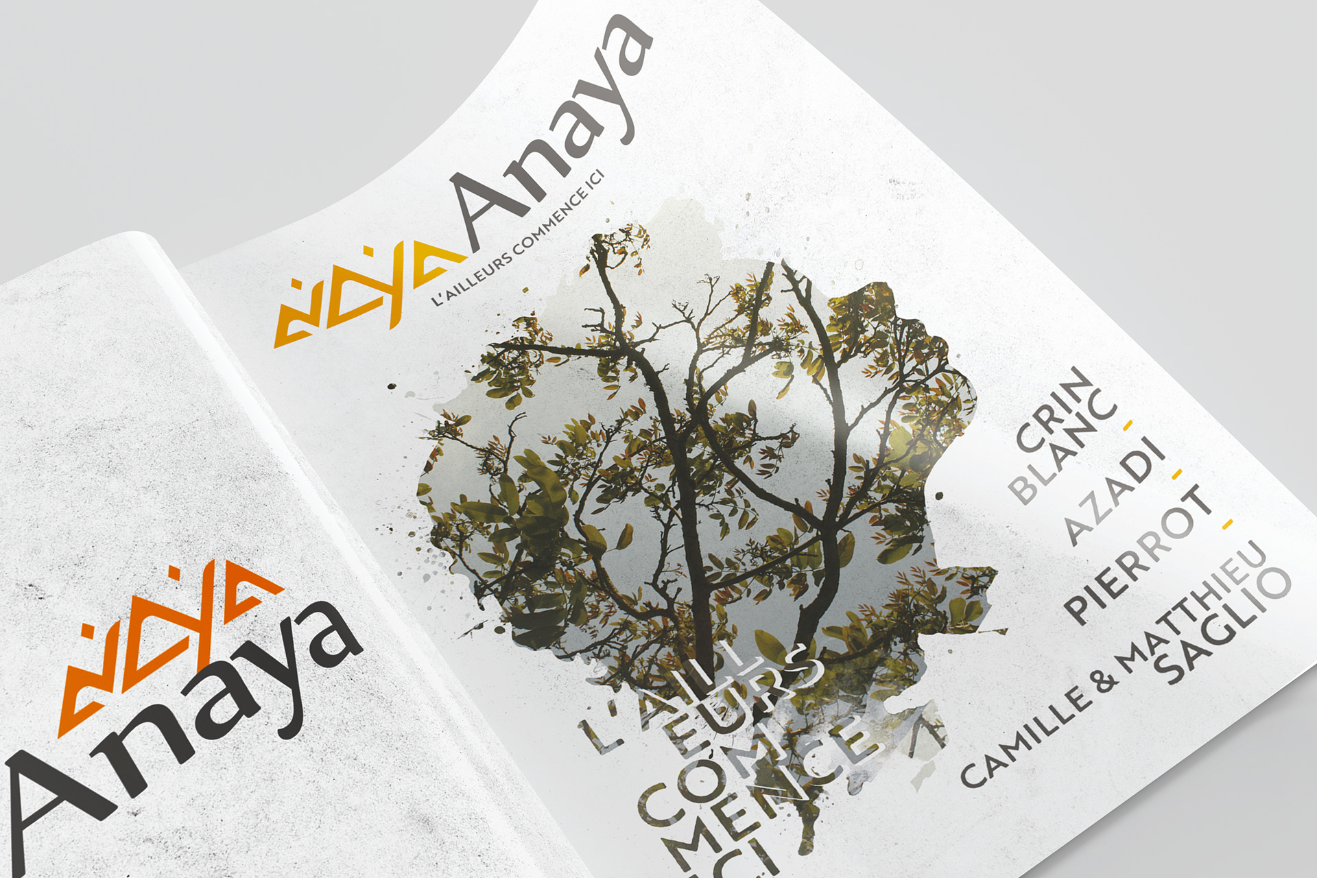 Logo et plaquette de la compagnie Anaya