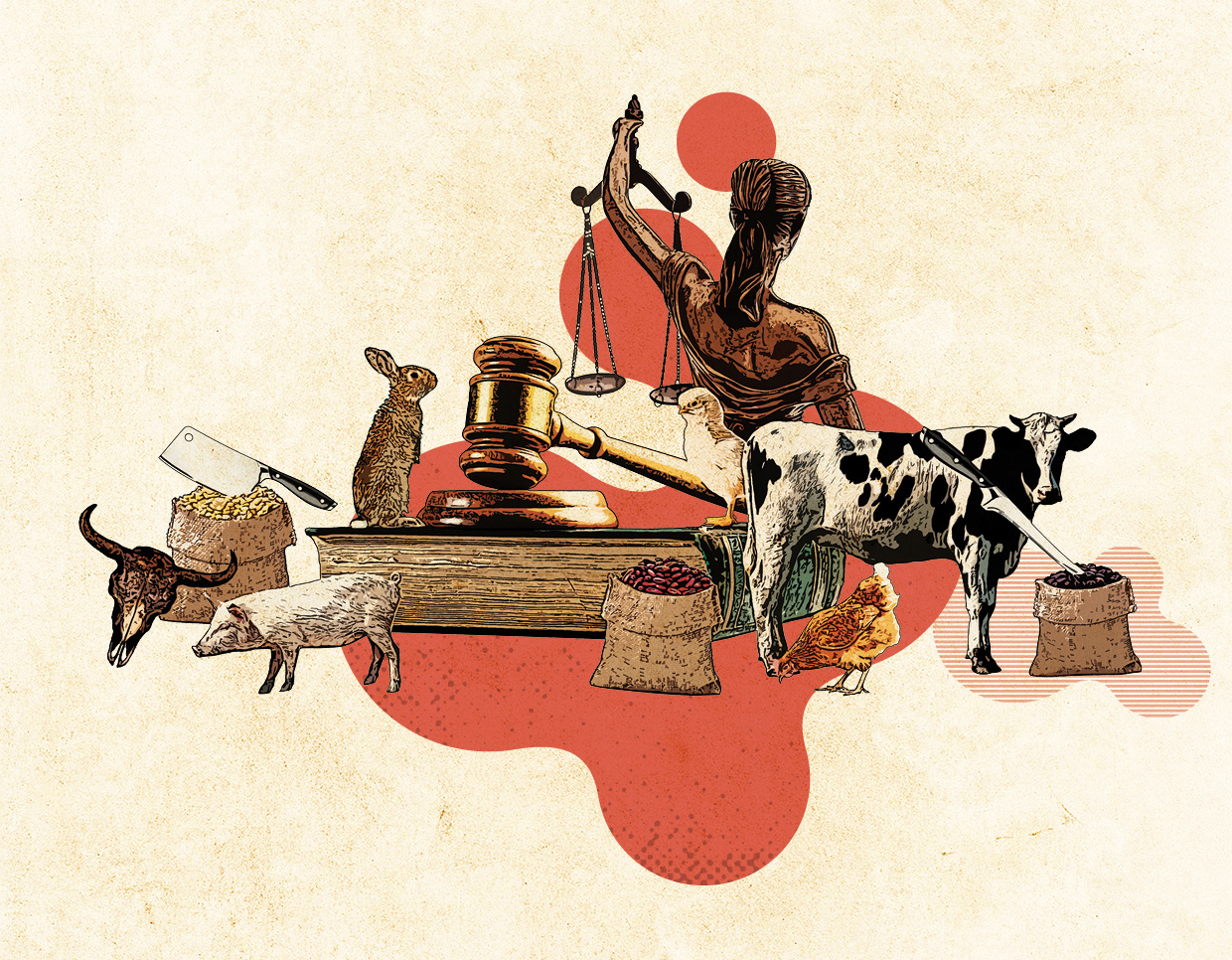 Illustration d'article du magazine Dialogos - UCO