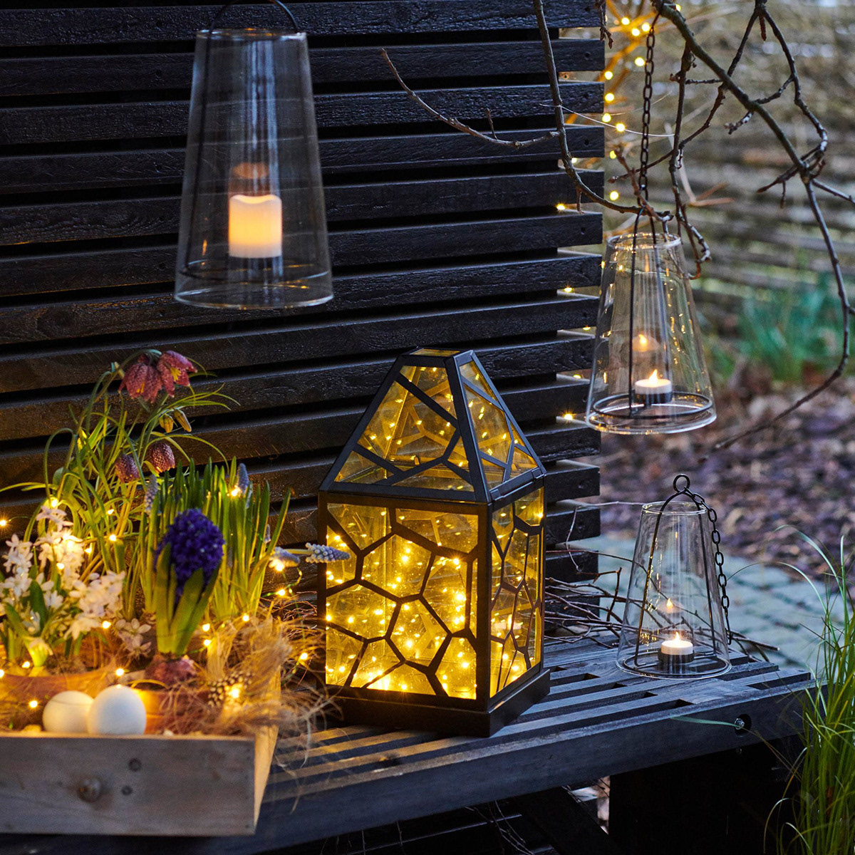 Sirius - Alfred Lantern