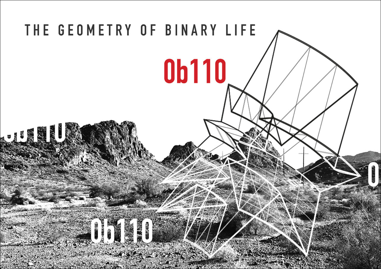 "The Geometry of Binary Life" - Poster