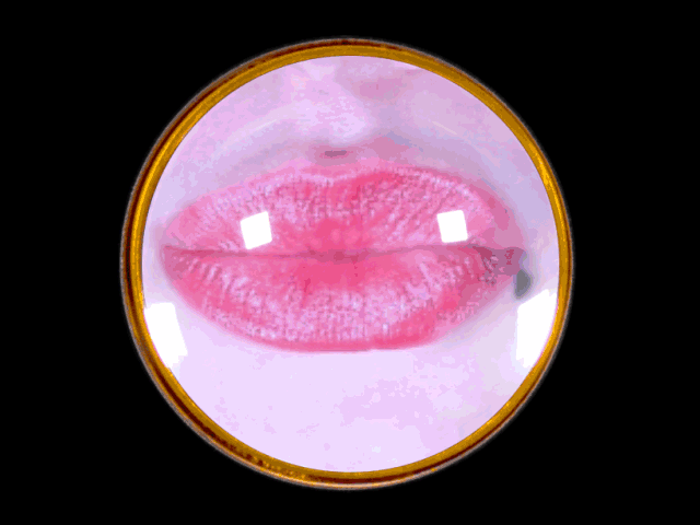 "Anthology of Labia" by island6 Art Collective (Liu Dao)