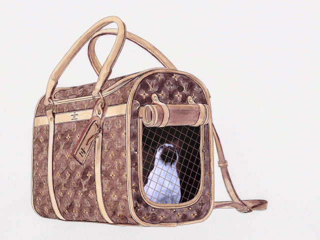 "Sac Chien" by island6 Art Collective (Liu Dao)