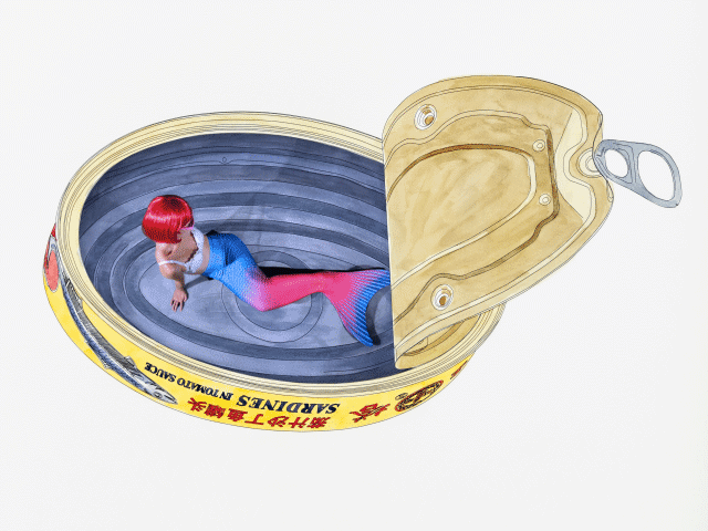 "Spicy Tomato Sardine" by island6 Art Collective (Liu Dao)
