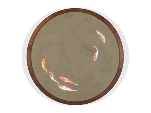 "Meandering Koi" by island6 Art Collective (Liu Dao)