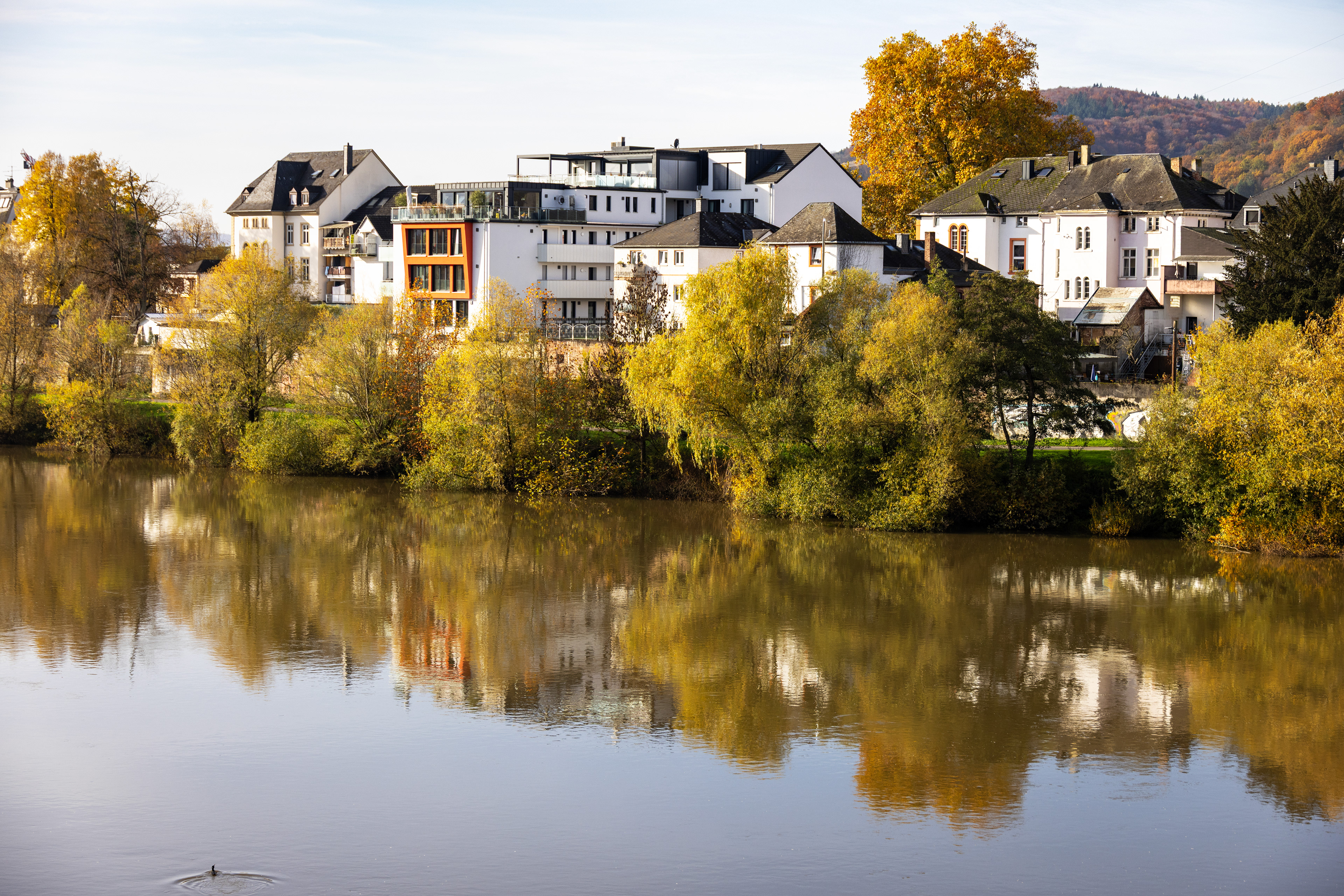 Reflections on the Mosel river, Germany