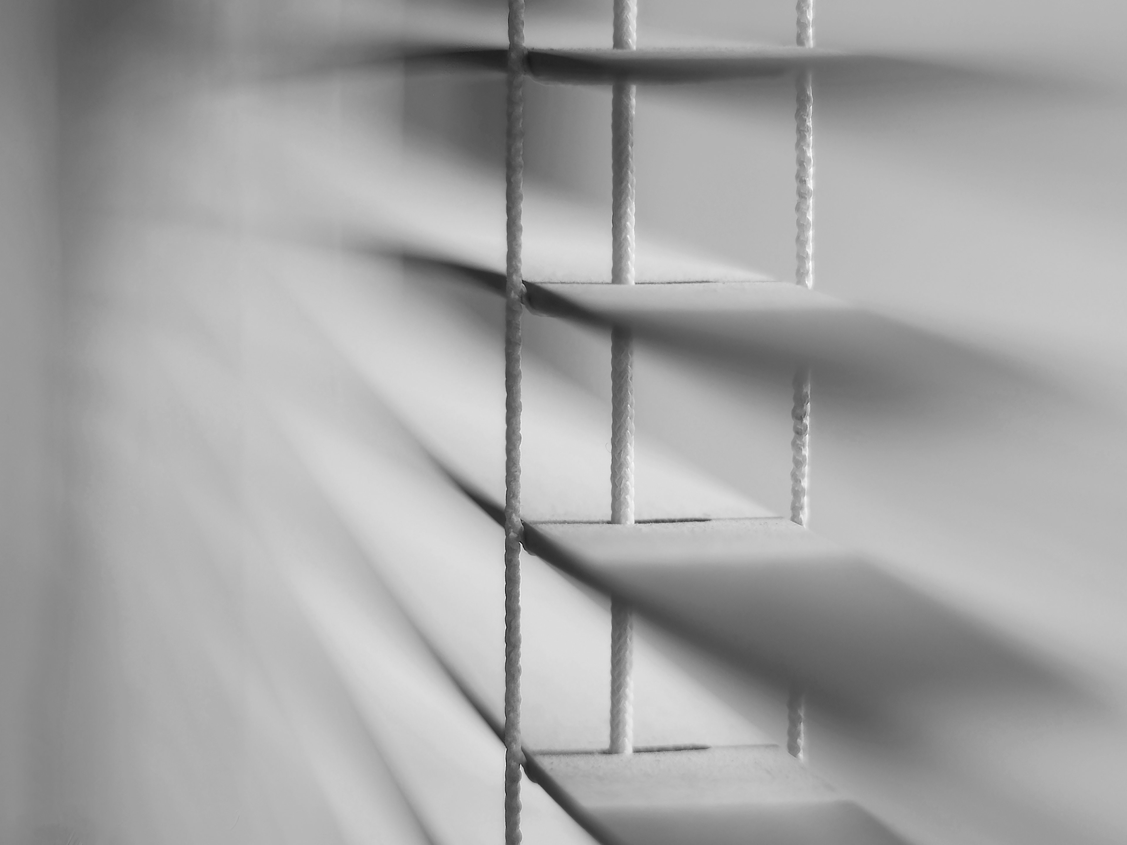 From my old kitchen blinds