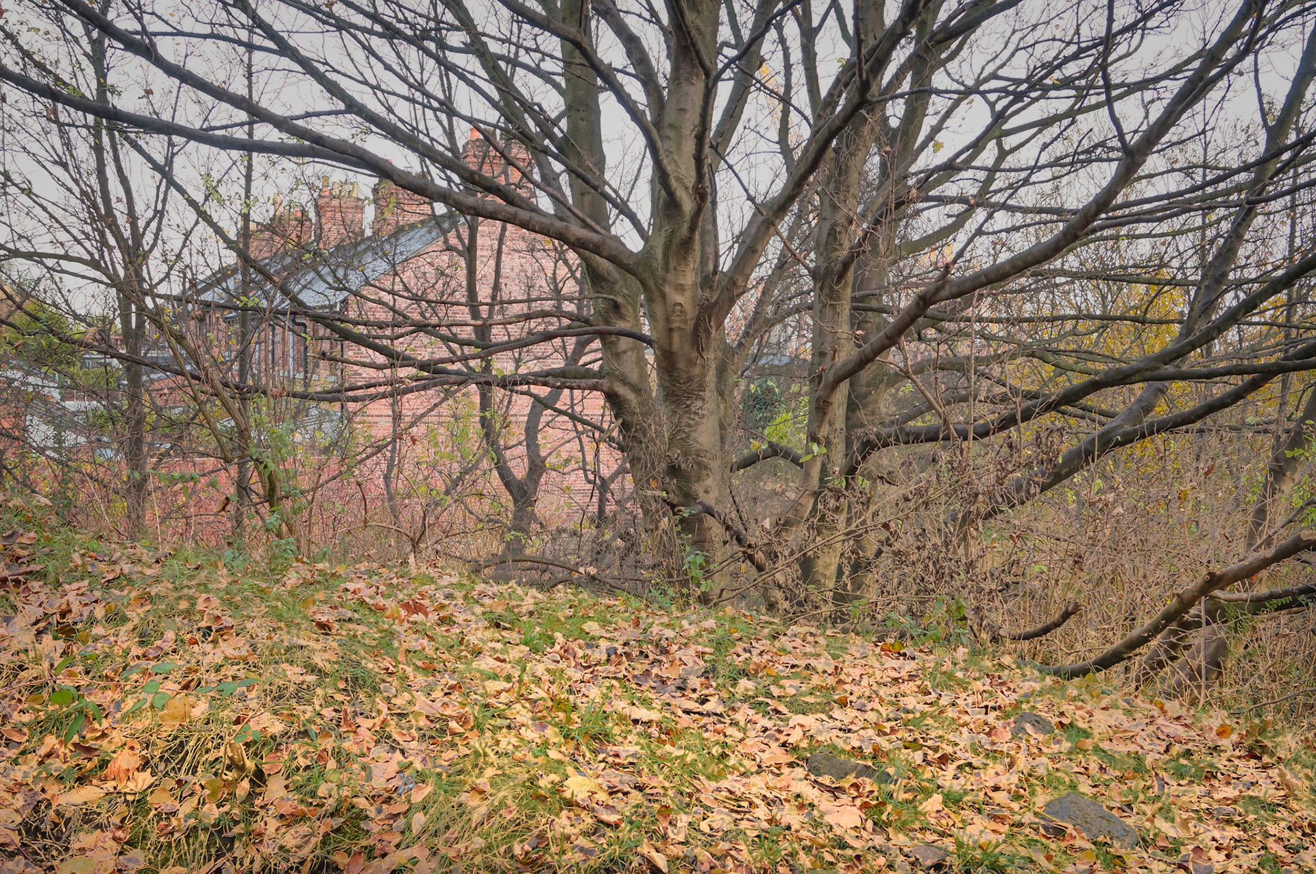 Hadrian Road cycle path