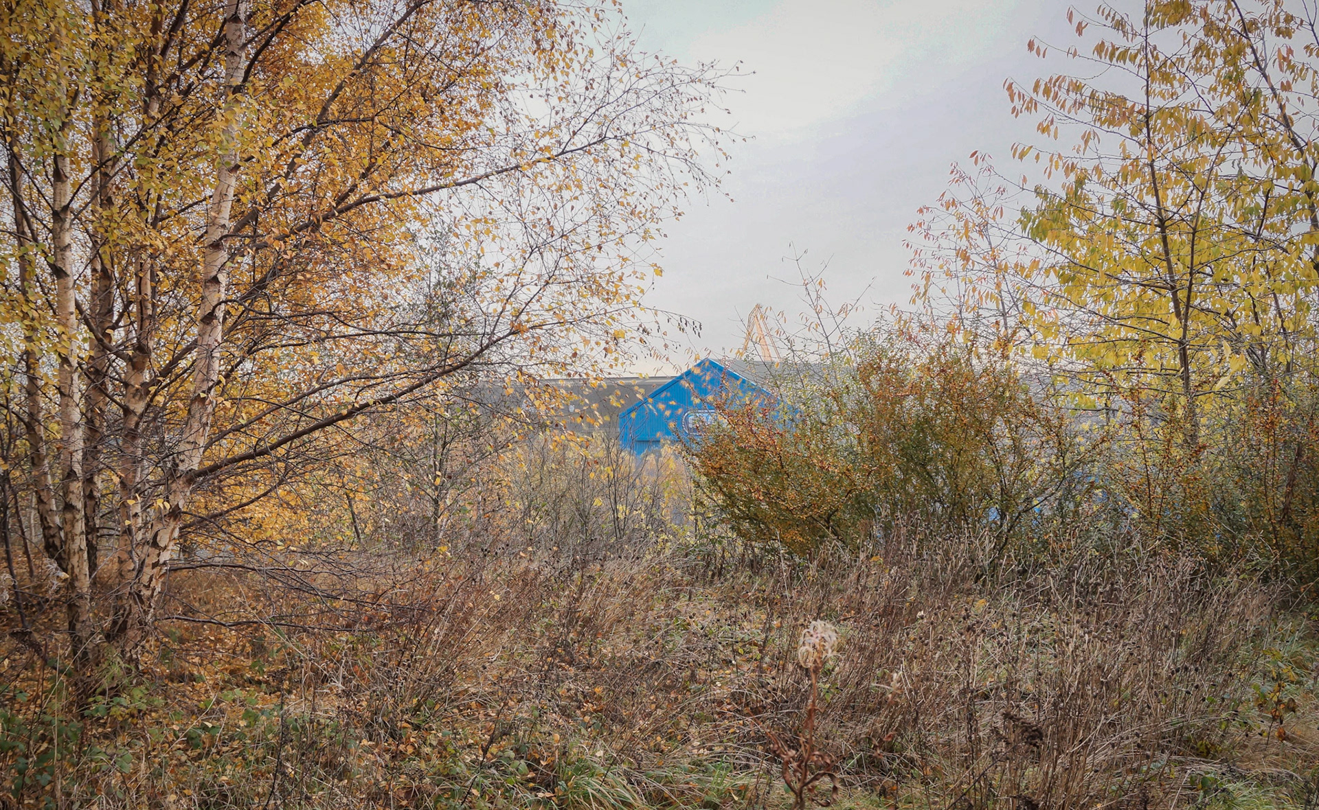 Hadrian Road cycle path