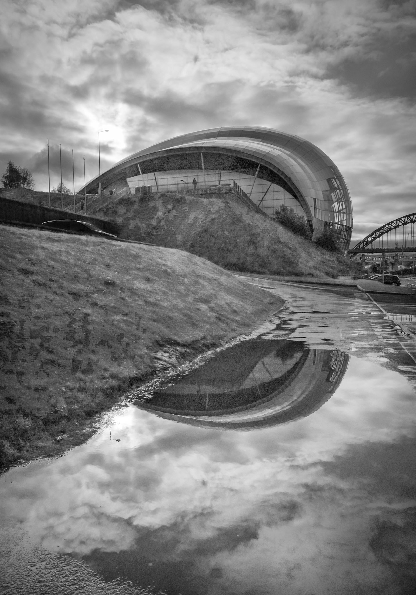 The Sage after a rainstorm