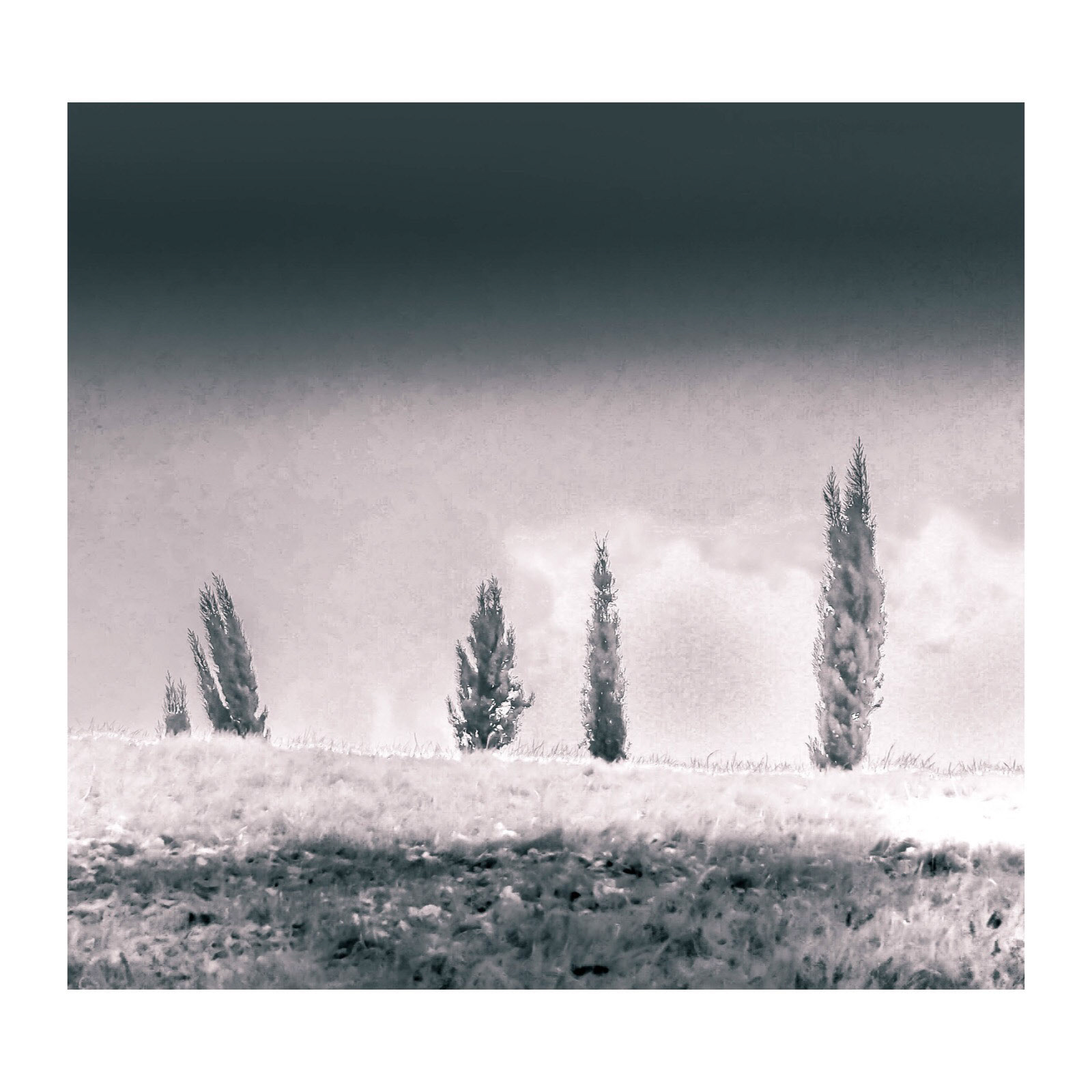 Segedunum Roman Fort