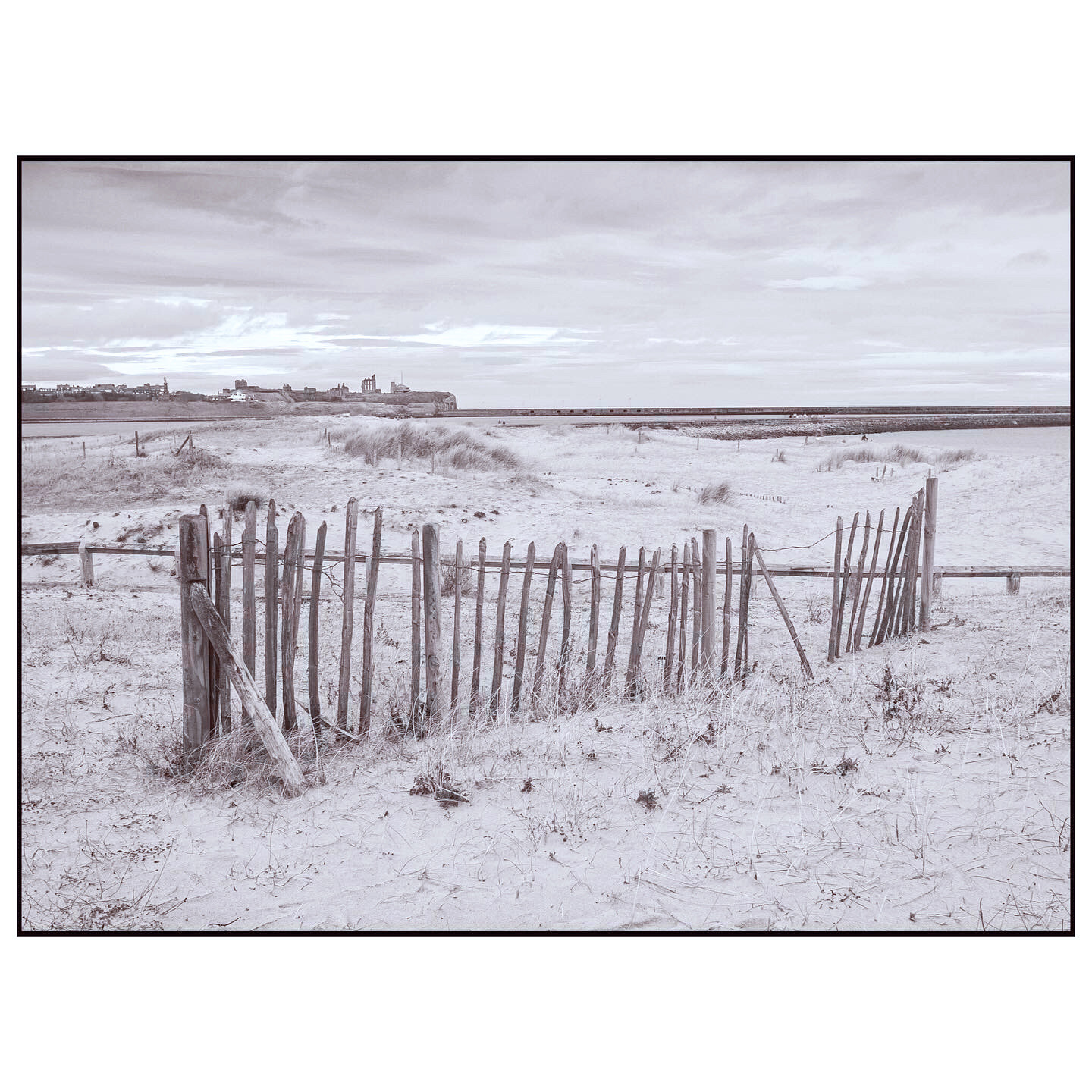 Tynemouth Prior from South Shields