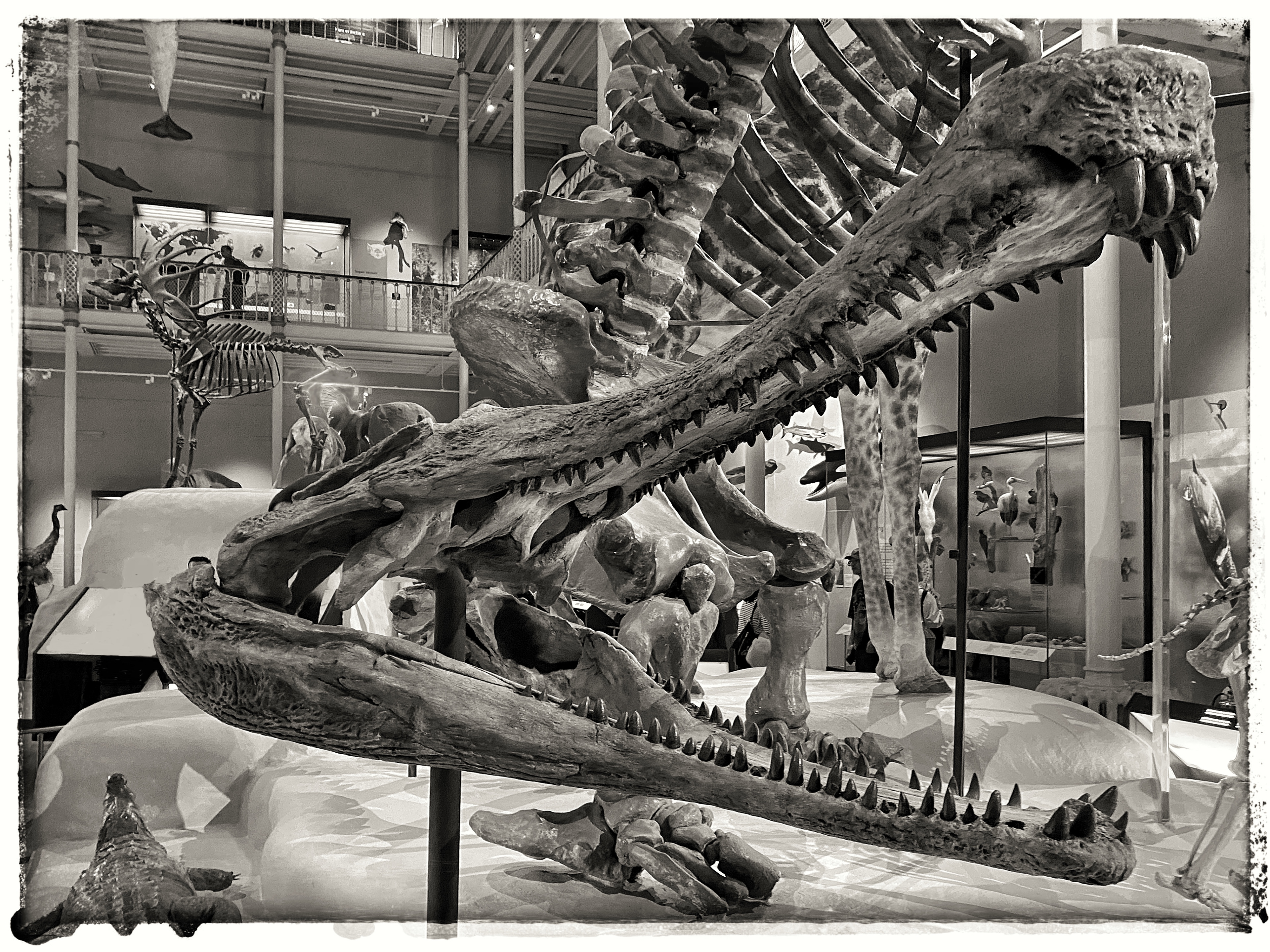 National Museum Edinburgh 