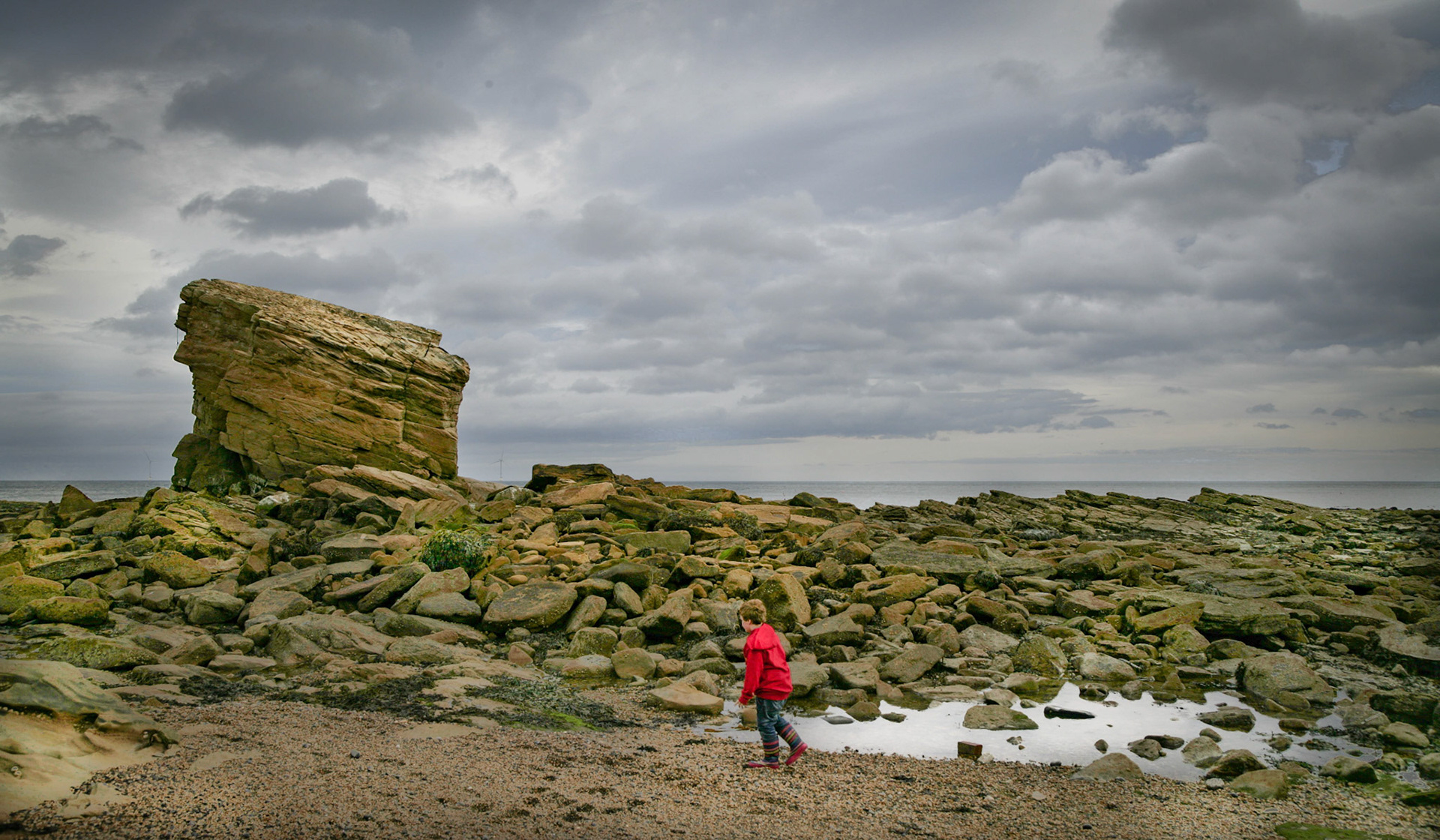 Charlie's Garden, Seaton Sluice