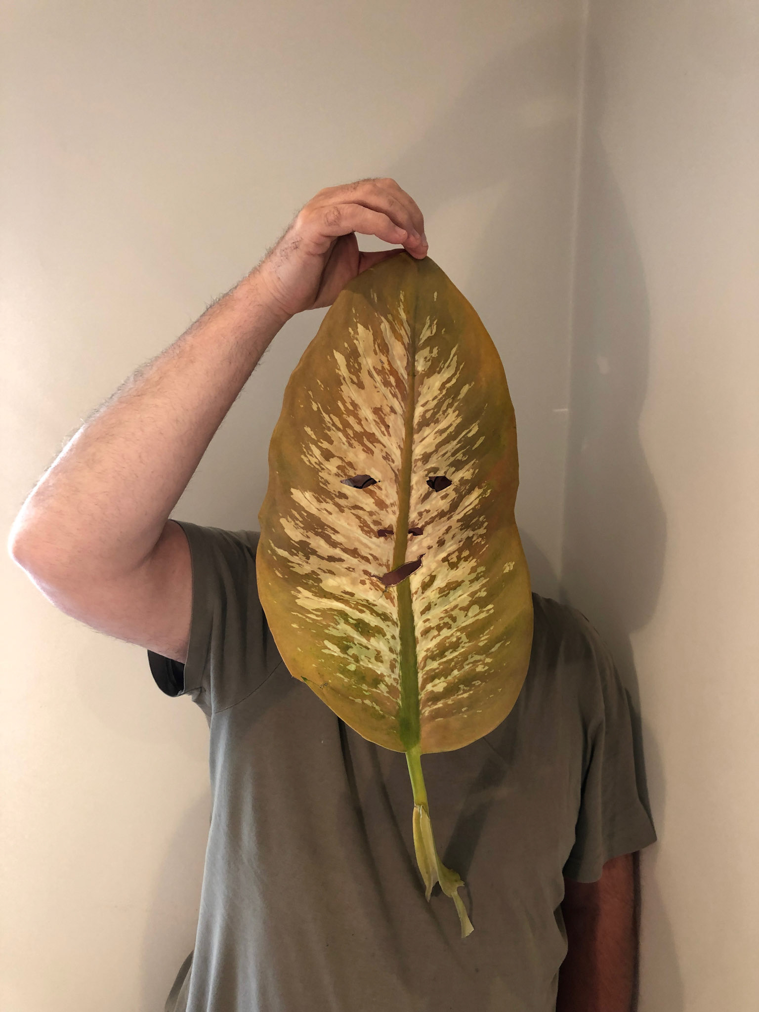 turning over an old leaf