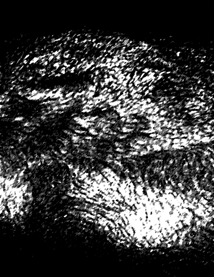 23SP_Harbison, Robert_texture3