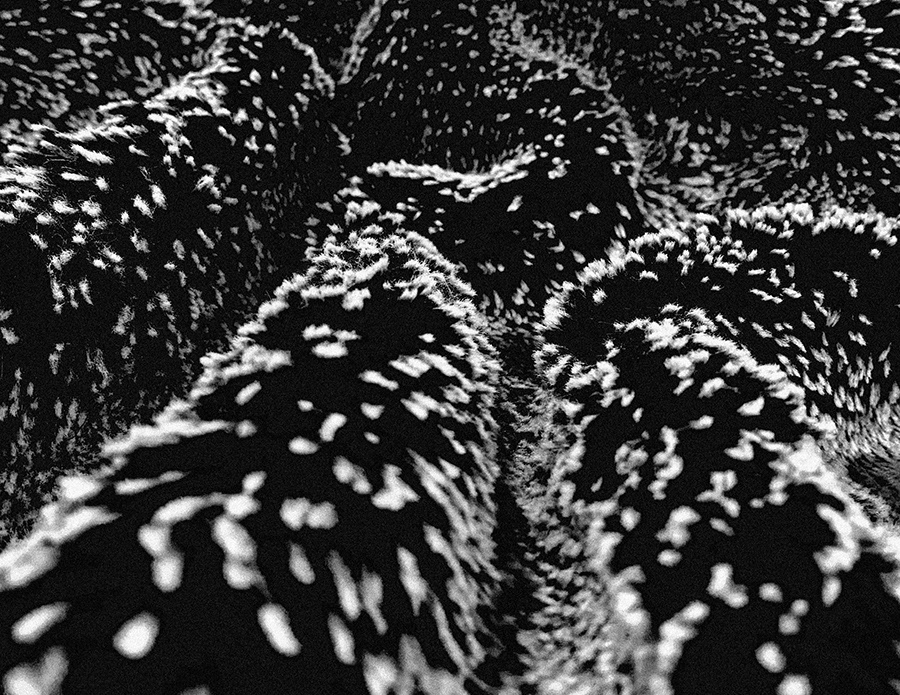 23SP_Simonetti, Jake_achromatic composition1