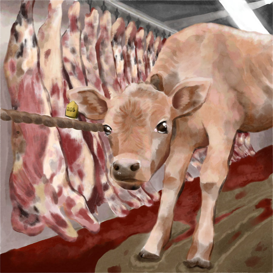 21SP_Adamkowski, Emily_SPD illustration