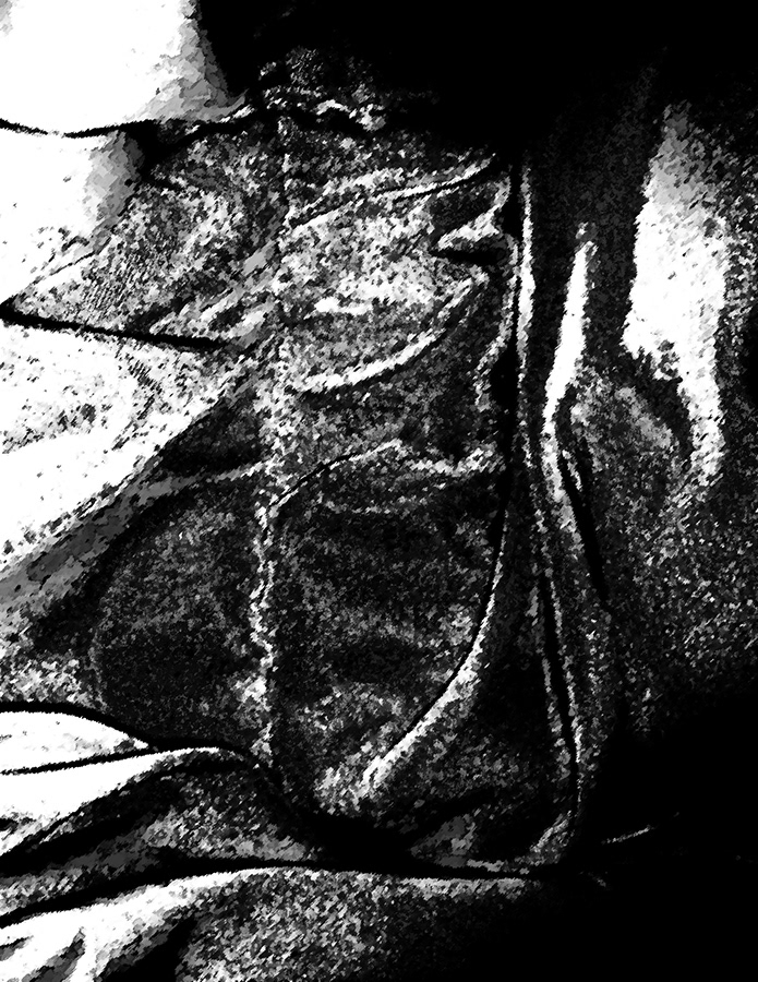 23SP_Harbison, Robert_texture1