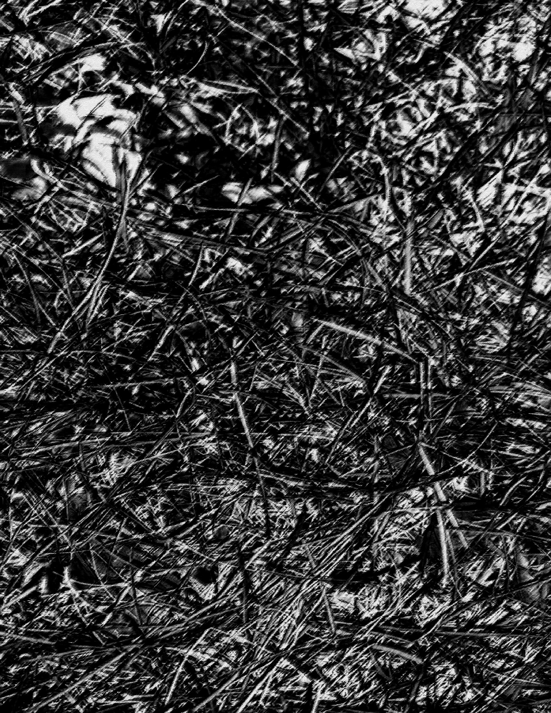 23SP_Harbison, Robert_texture2