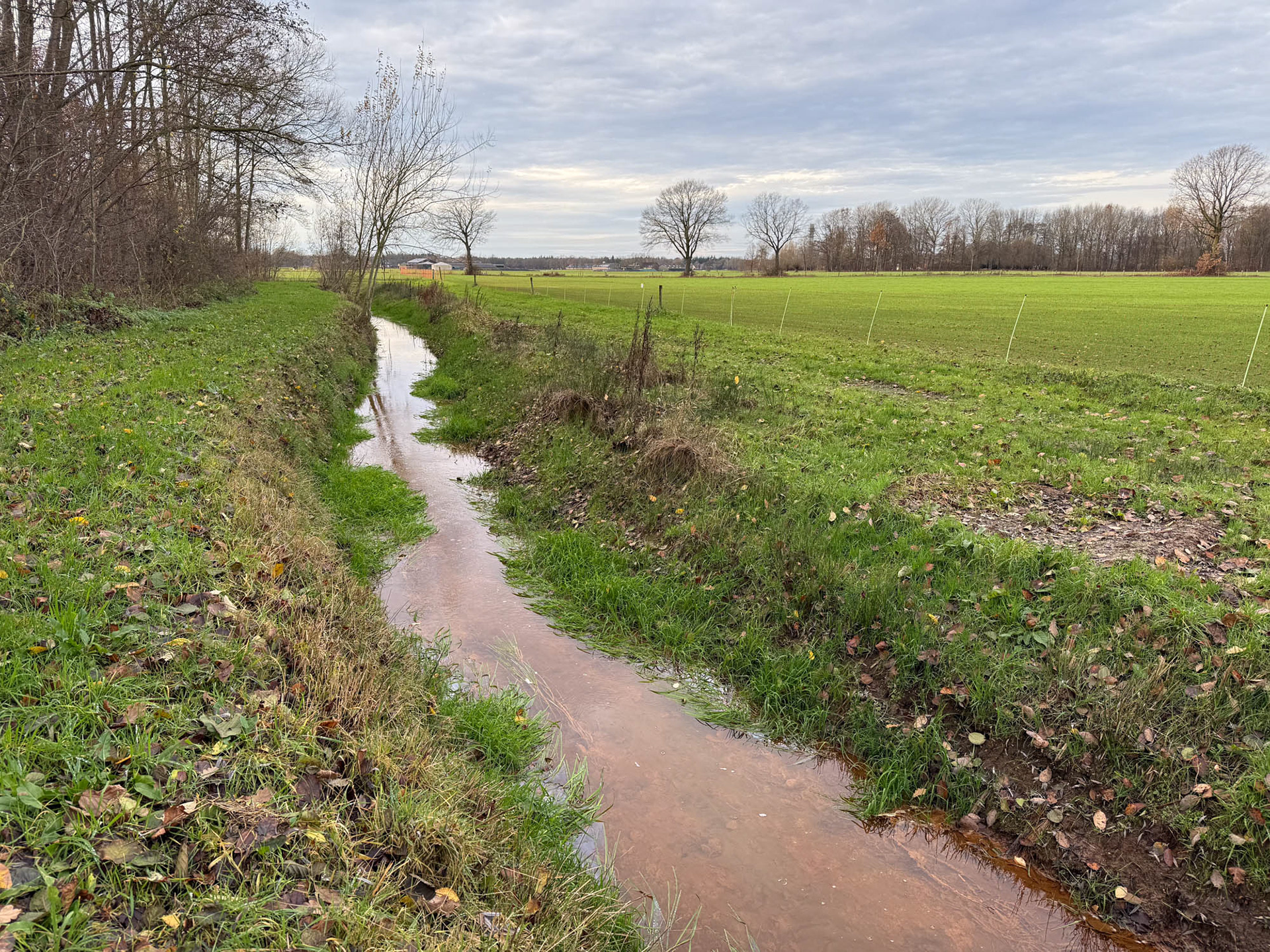Esperloop bij Bakel, Geneneind