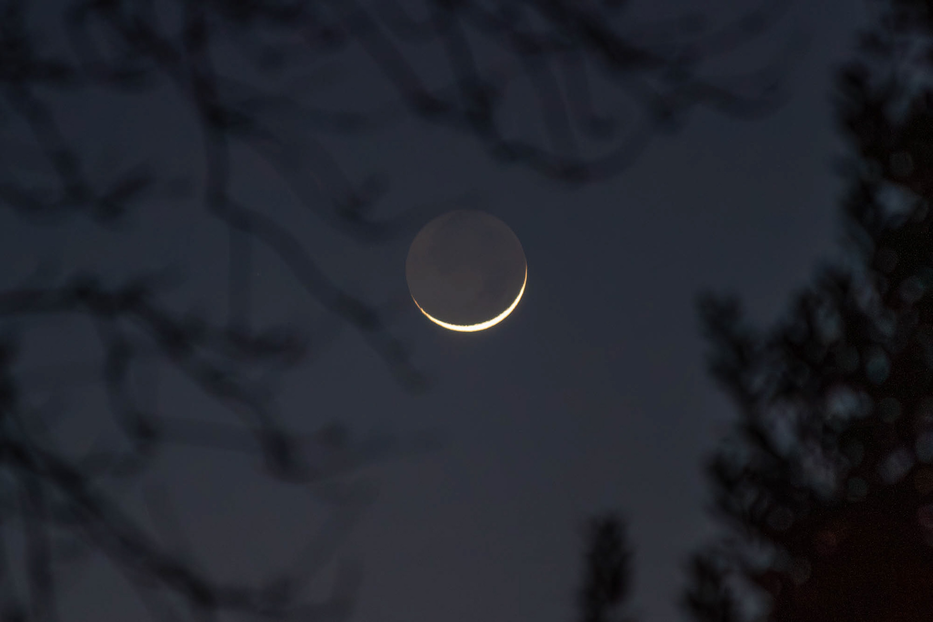 Maan met asgrauw schijnsel