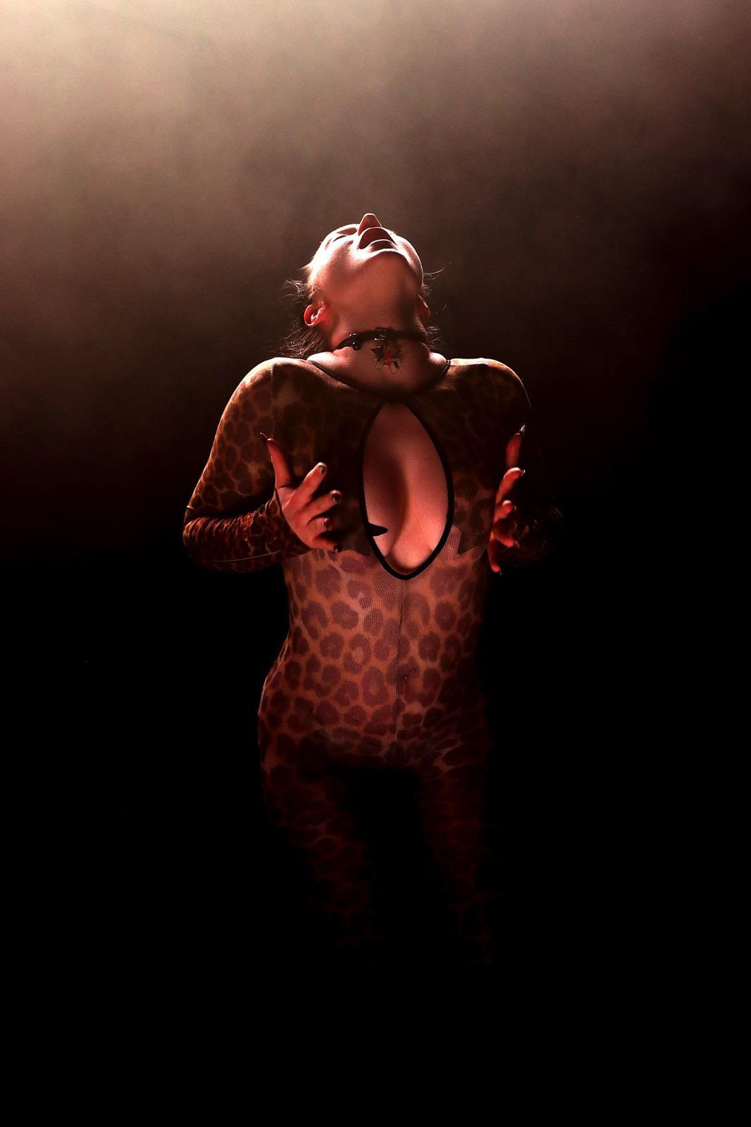 WhatsApp Image 2025-12-27 at 14.00.31 (7).jpeg ©Dave Hermon