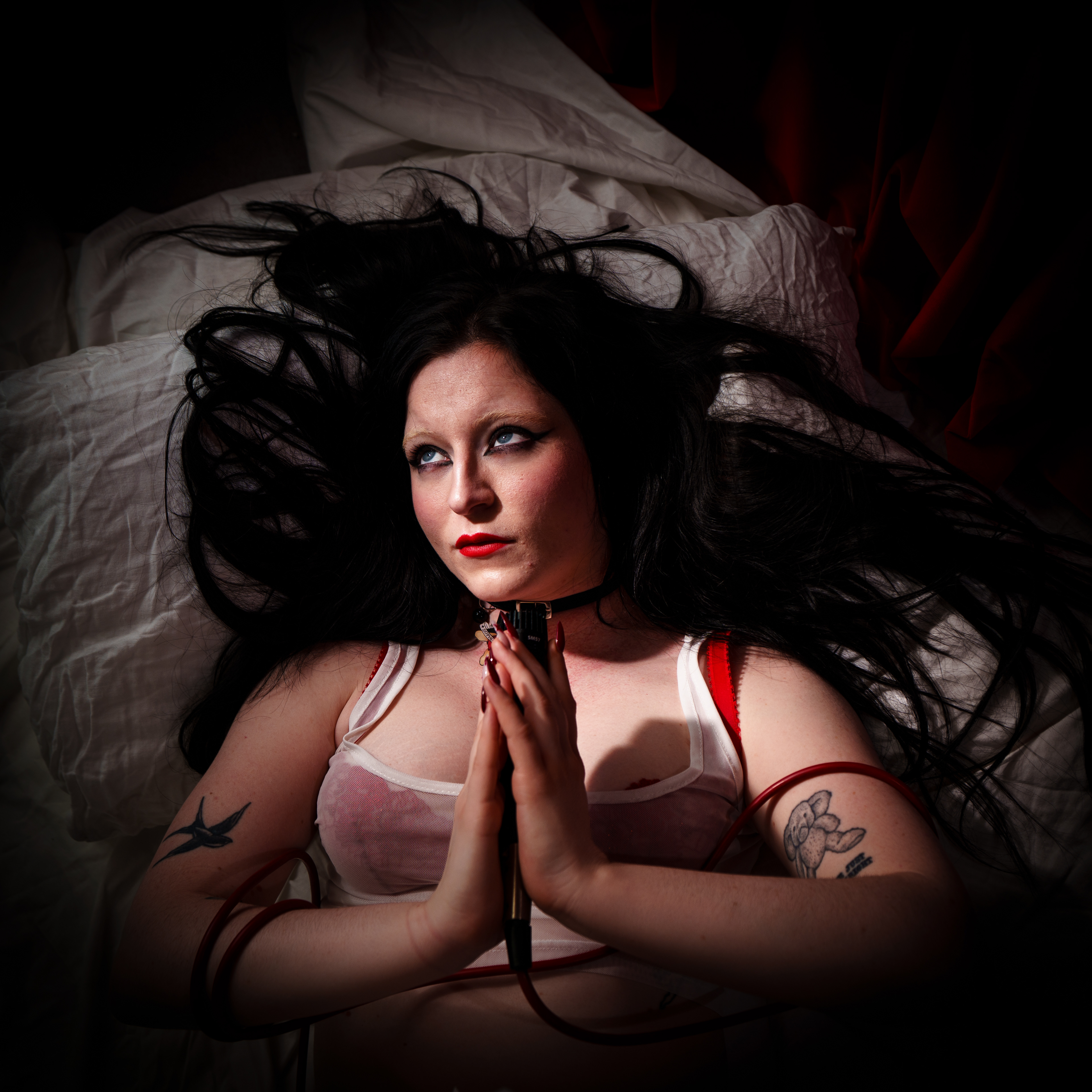 207.jpg ©David Walter