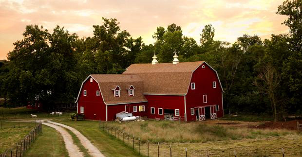 Feast - Baetje Farms