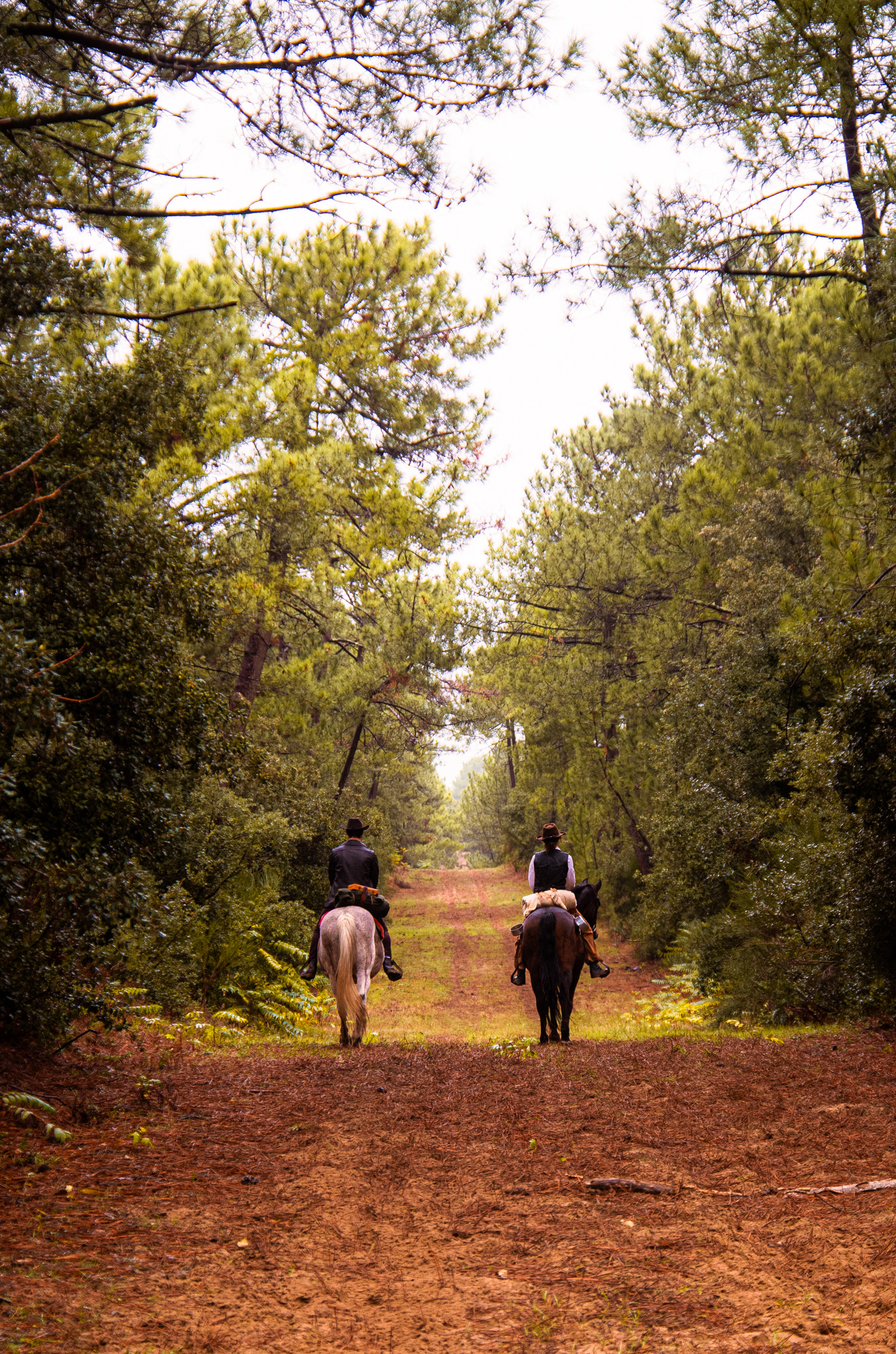 La Traque, Thibault Dardant (2020)