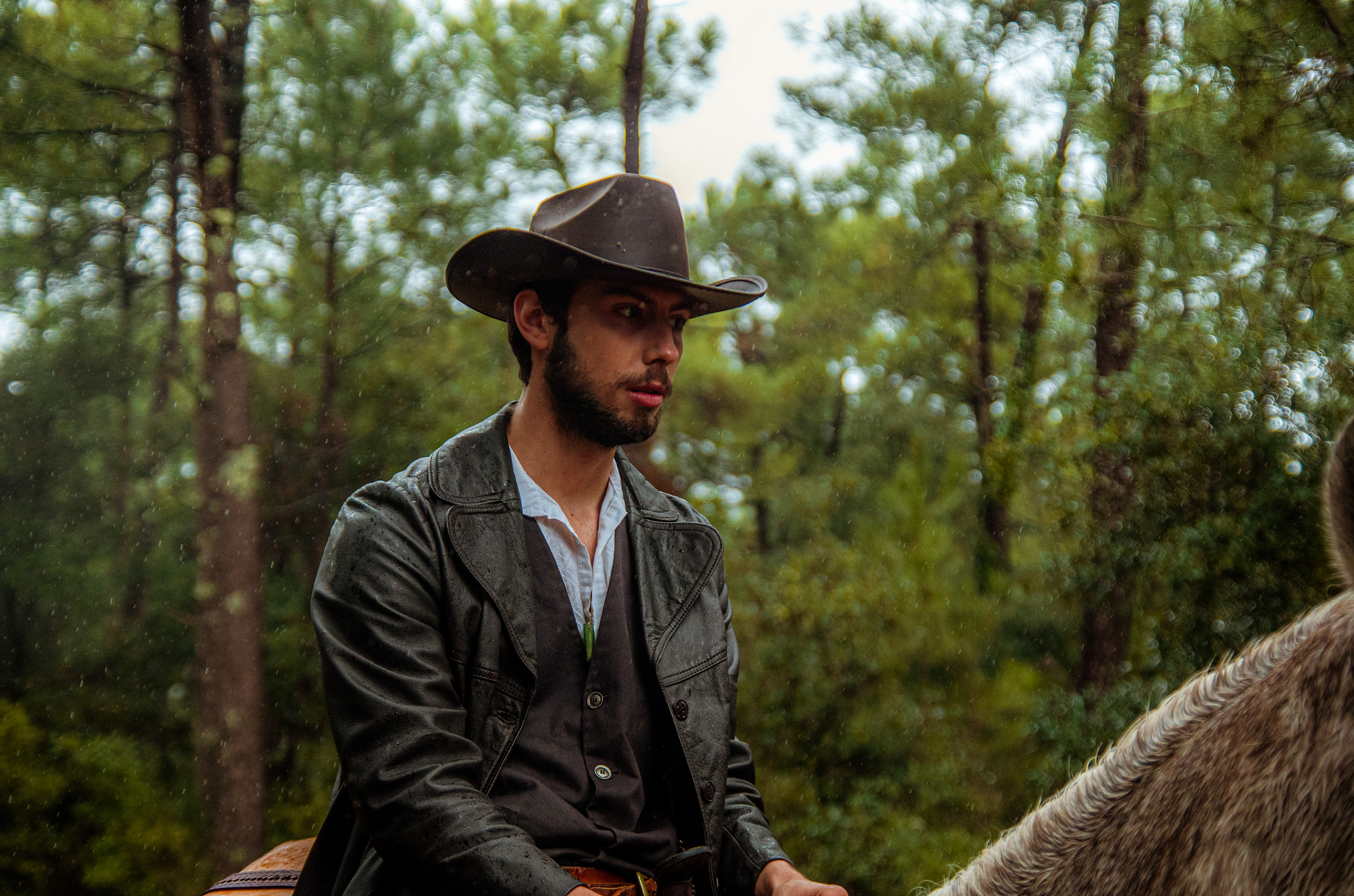 La Traque, Thibault Dardant (2020)