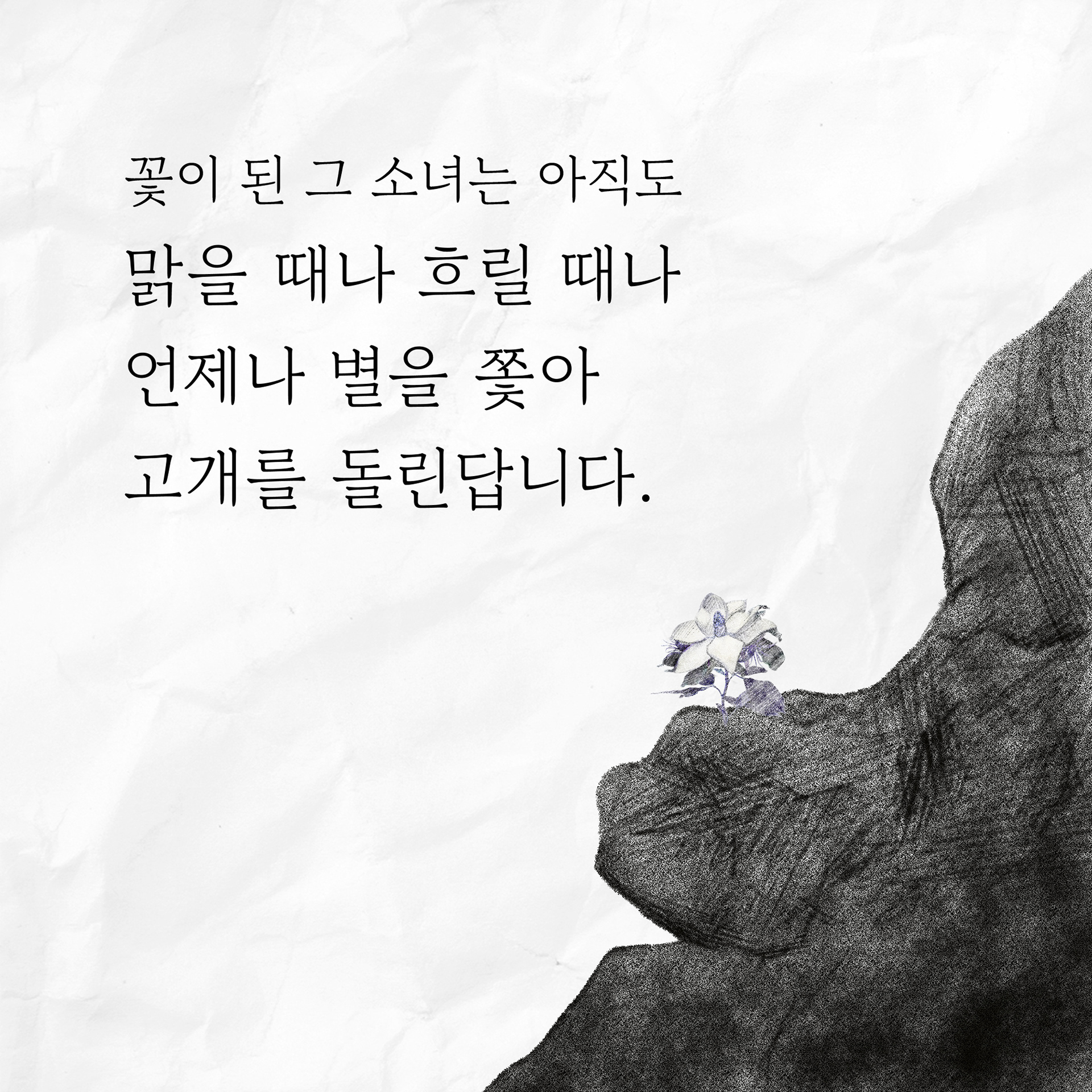 인스타 컷툰 2-6