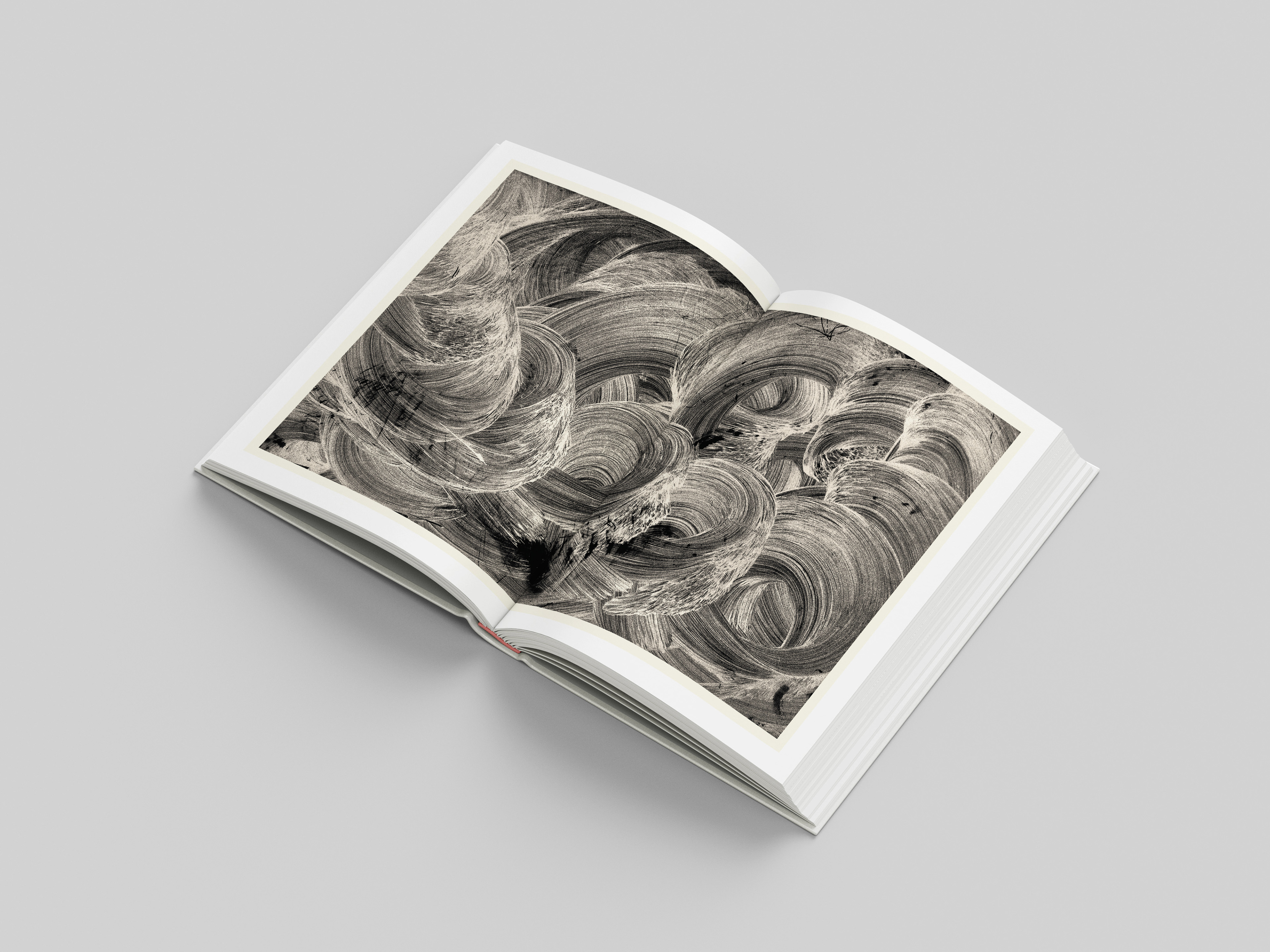 double page extraite de PTOSIS