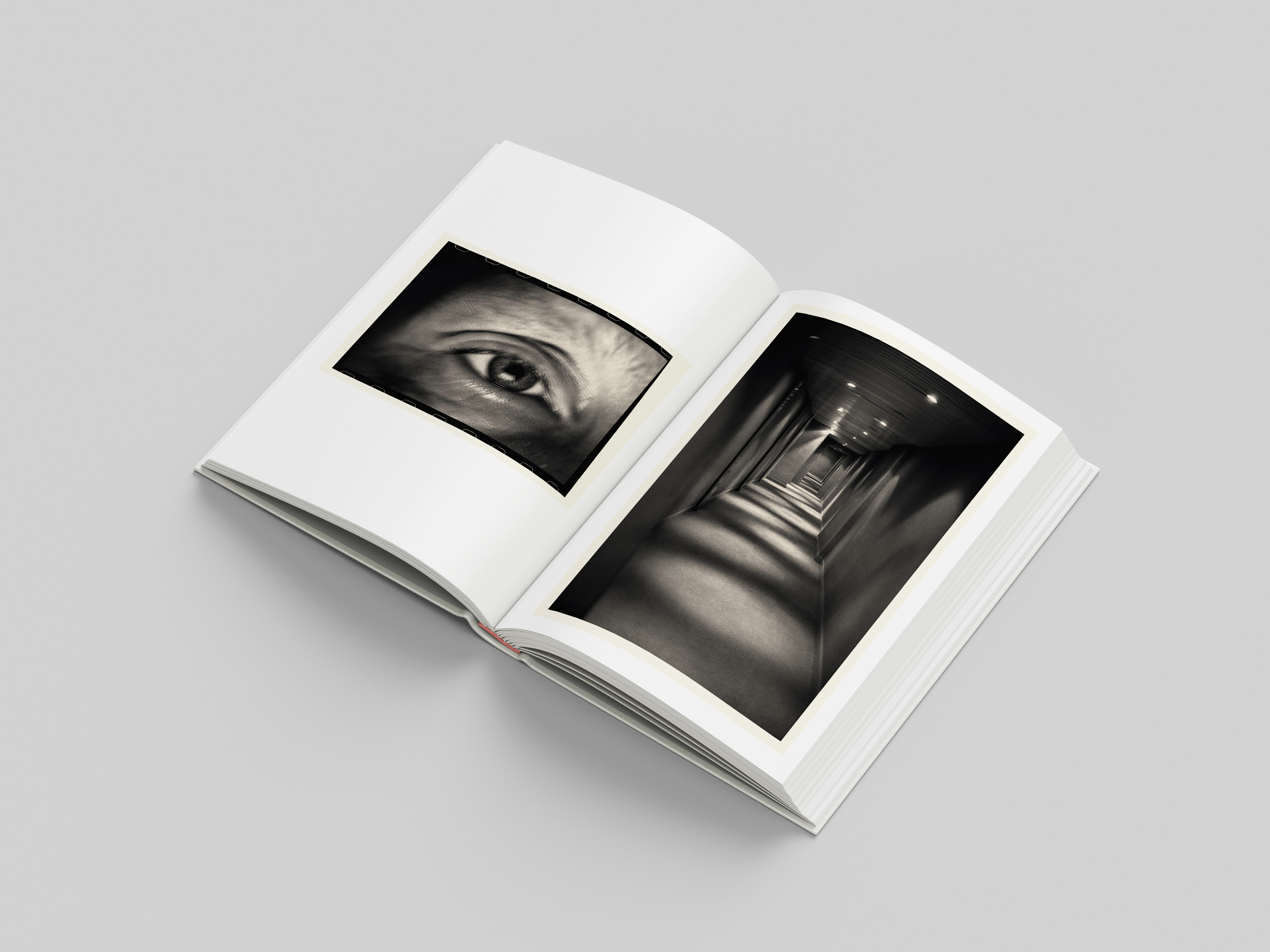 double page extraite de PTOSIS