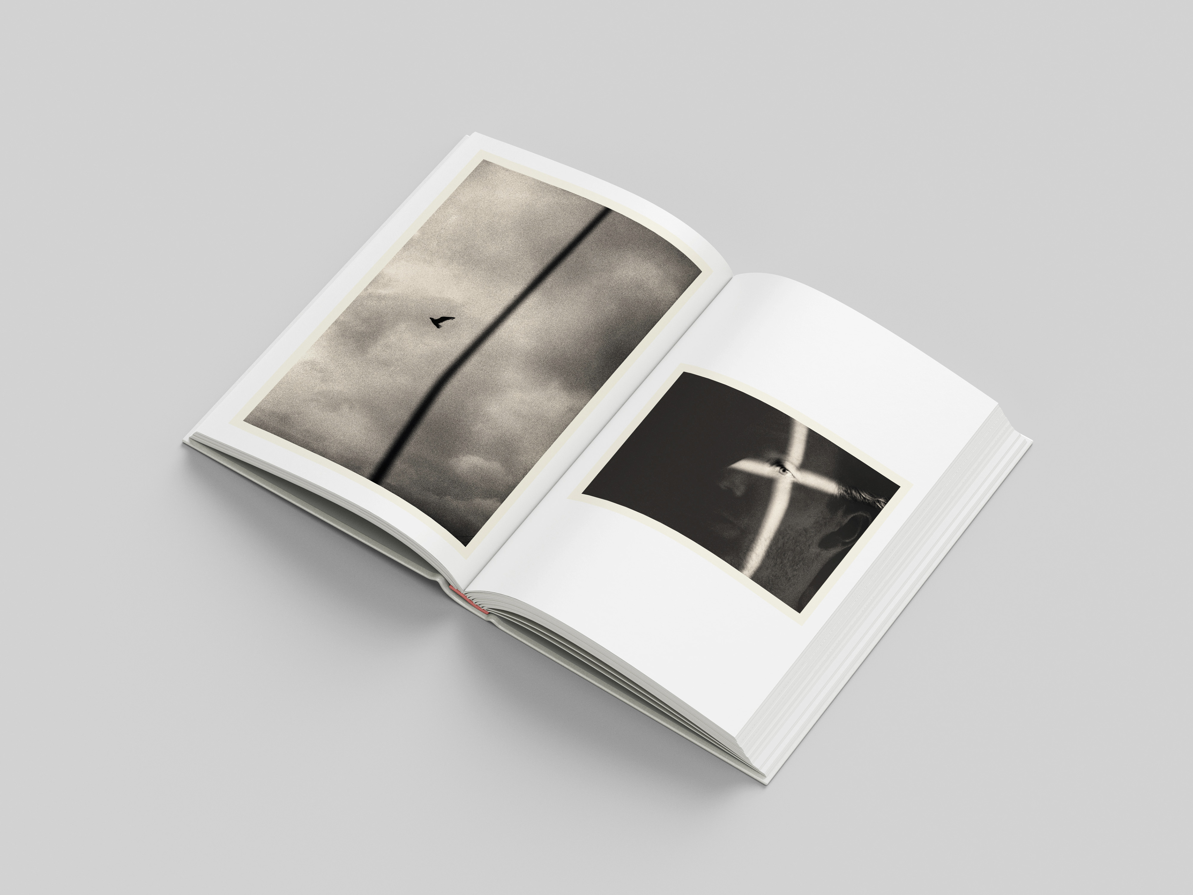 double page extraite de PTOSIS