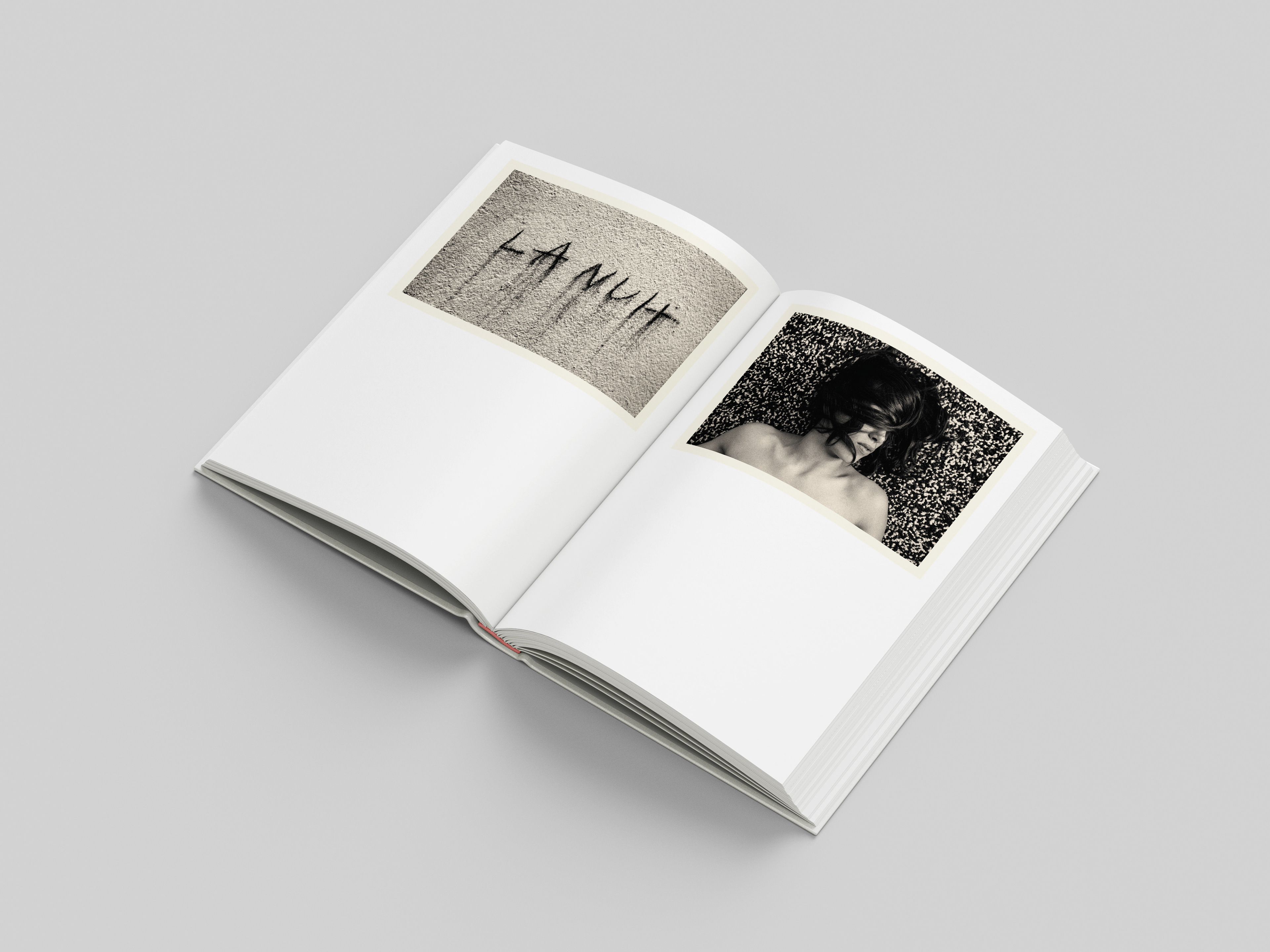 double page extraite de PTOSIS