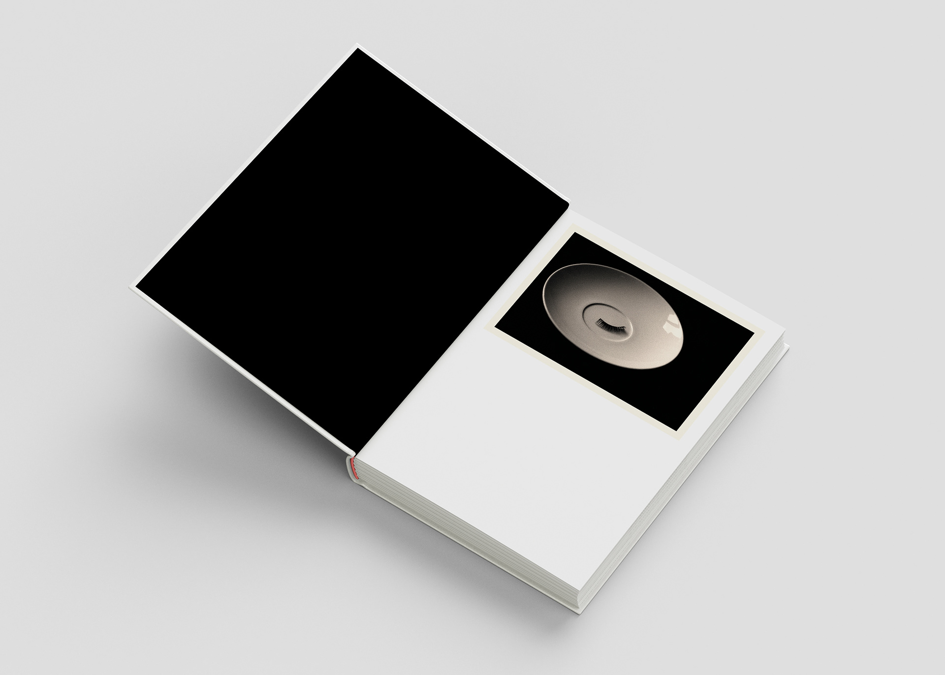 double page extraite de PTOSIS