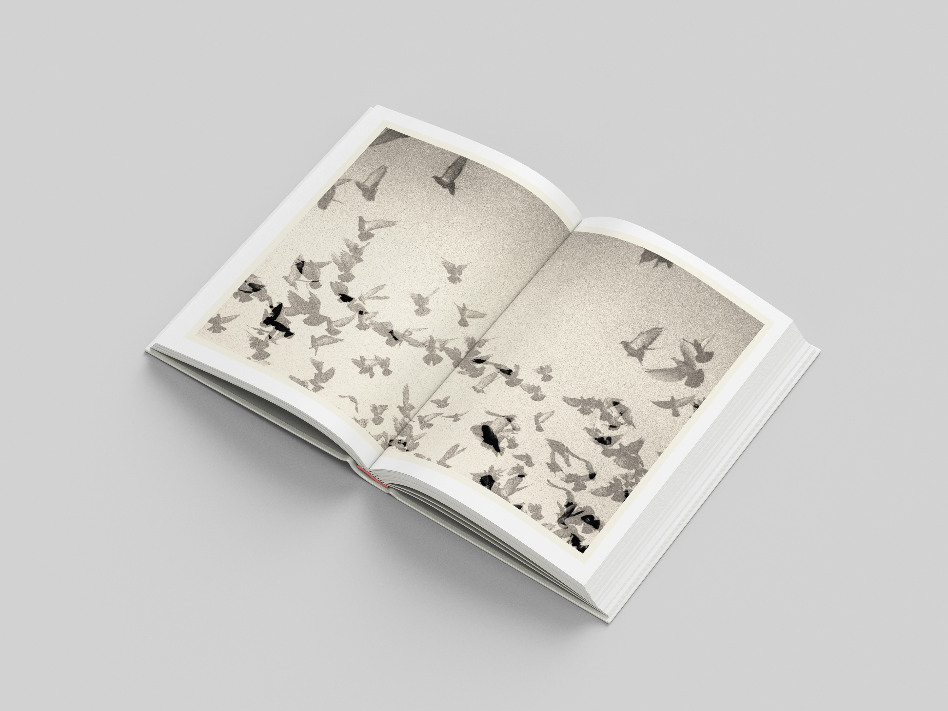 double page extraite de PTOSIS