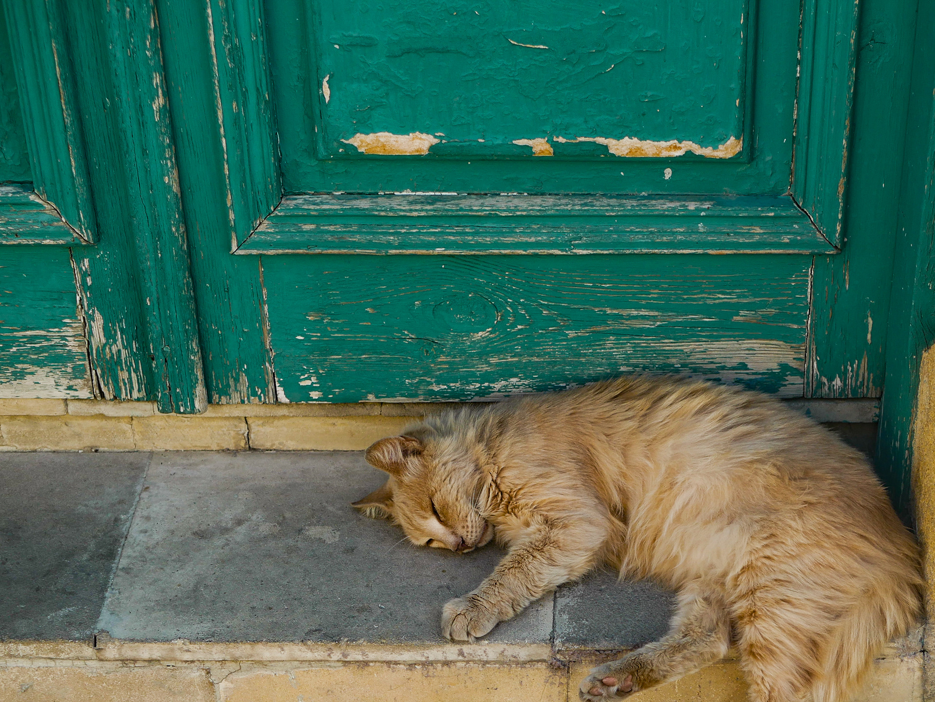 "War is exhausting" | Nicosia, Cyprus | 2022