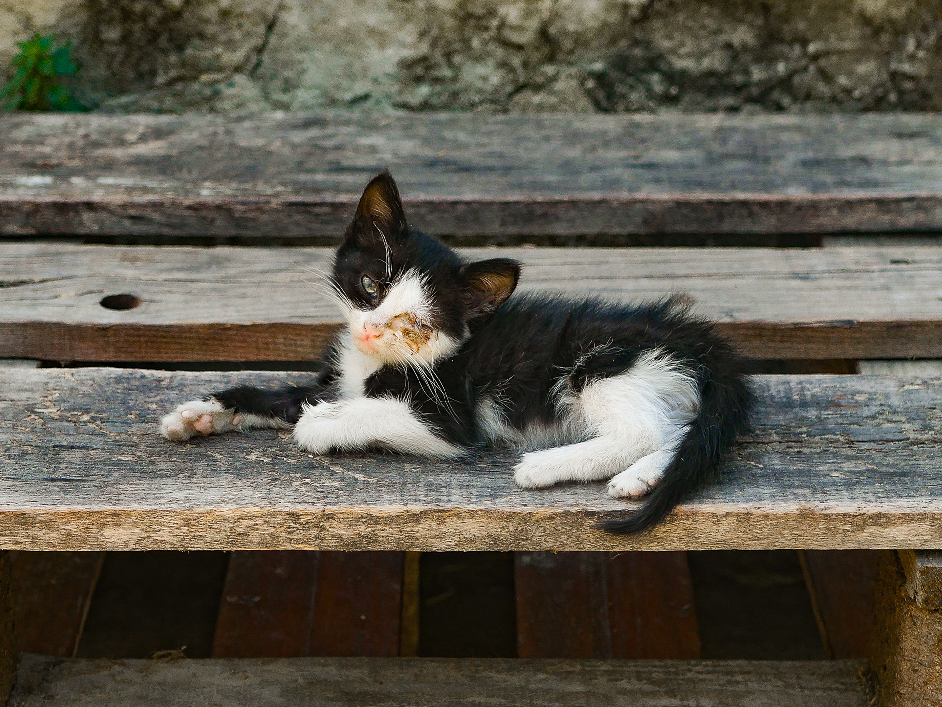 "War is pain" | Nicosia, Cyprus | 2022