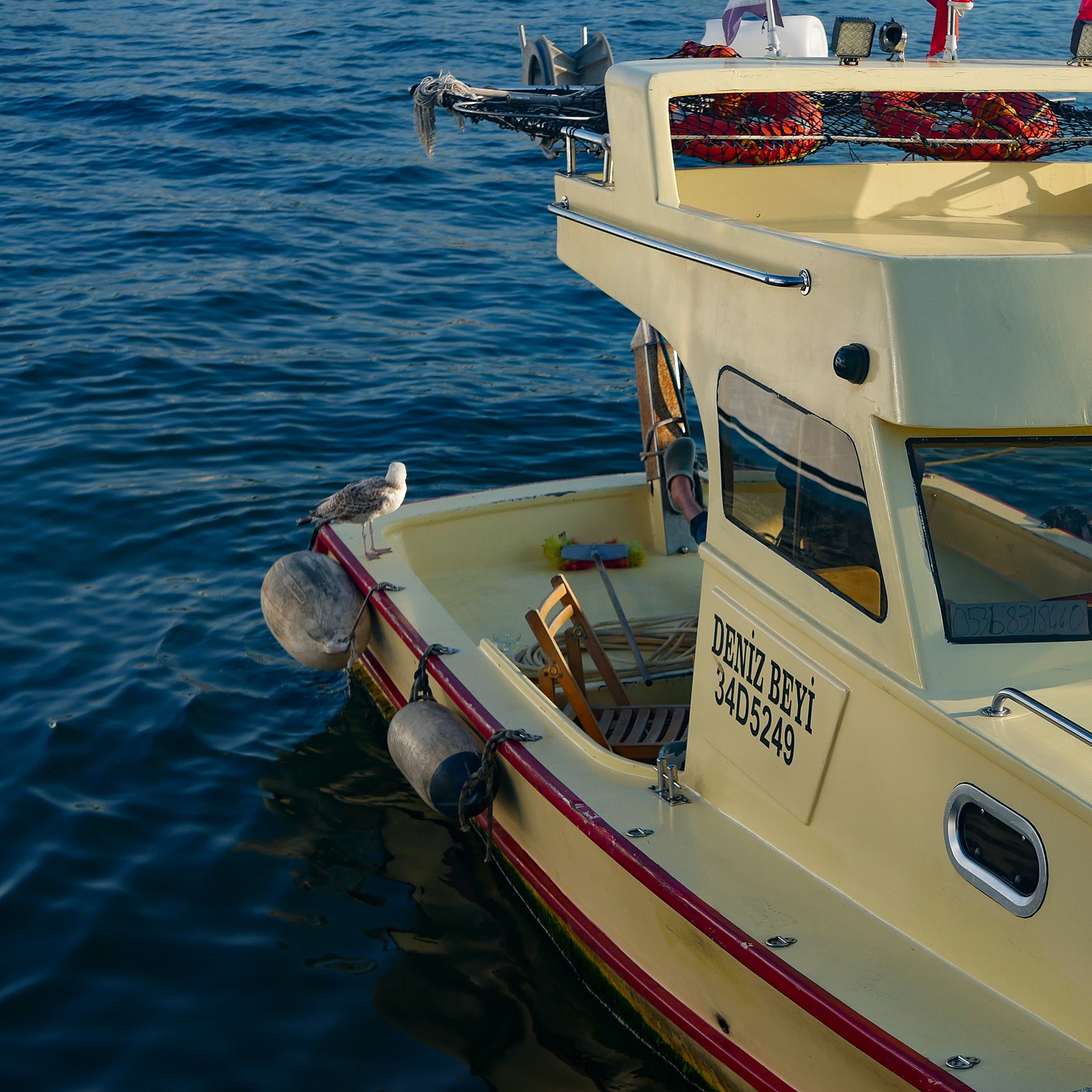 "Company" | Istanbul, Turkey | 2022