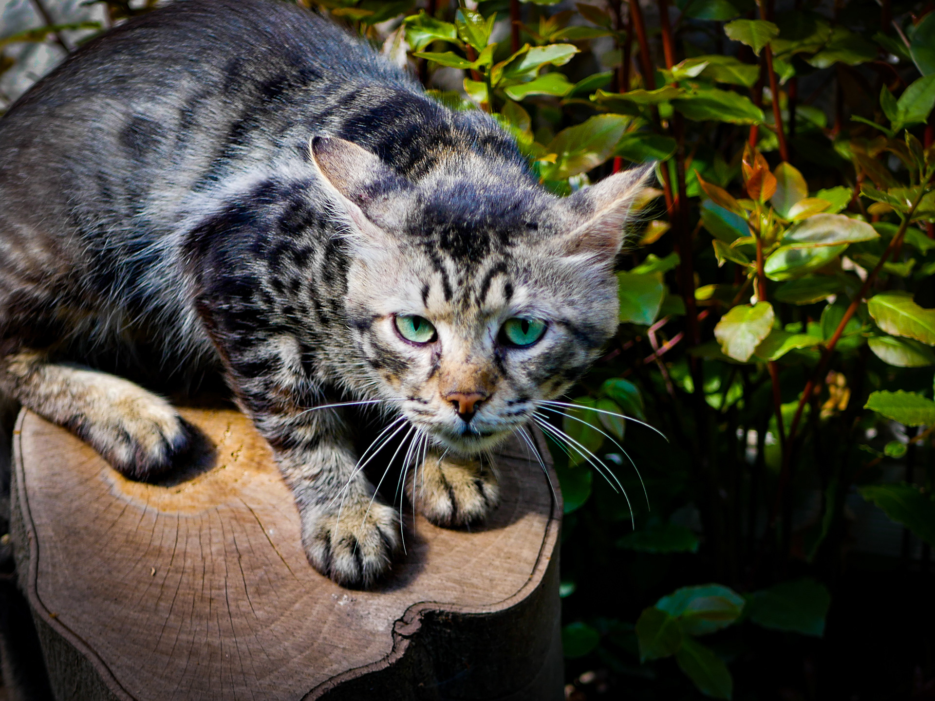 "Watch it" | Istanbul, Turkey | 2022