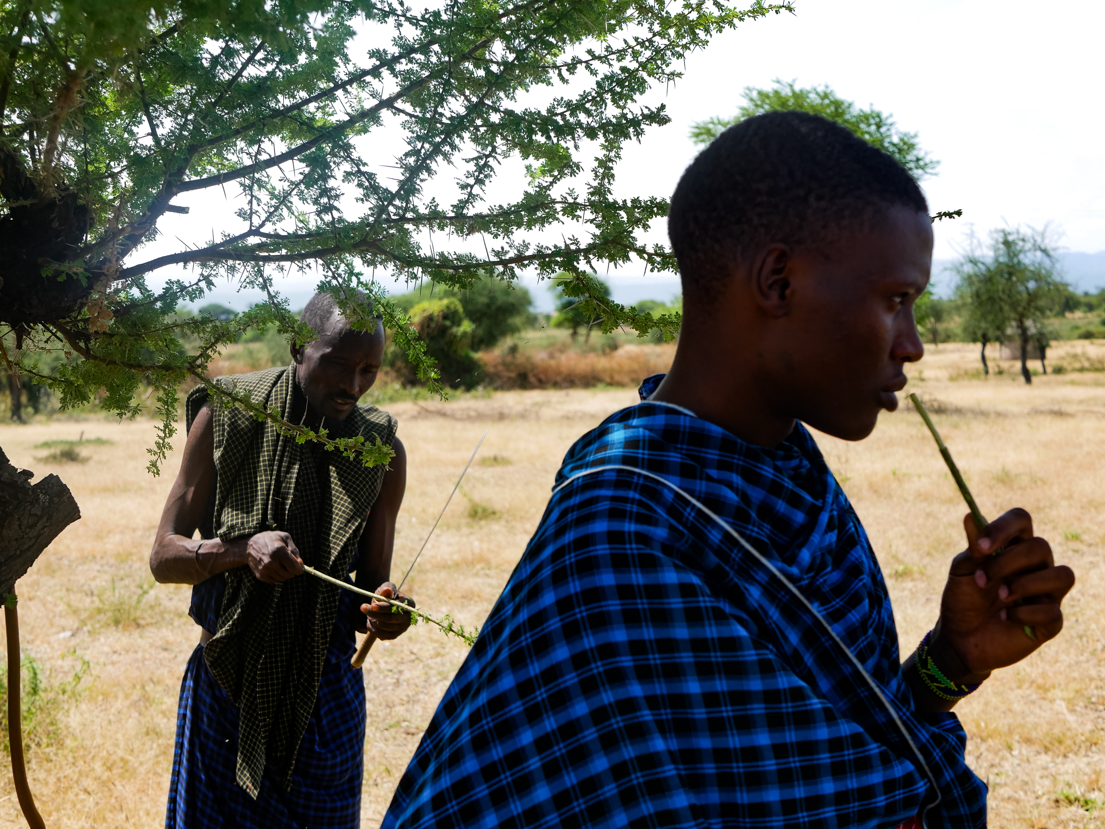 "Horizon" | Tanzania | 2024