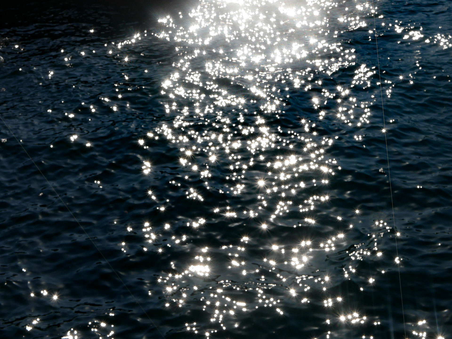 "Fishermen" | Istanbul, Turkey | 2022