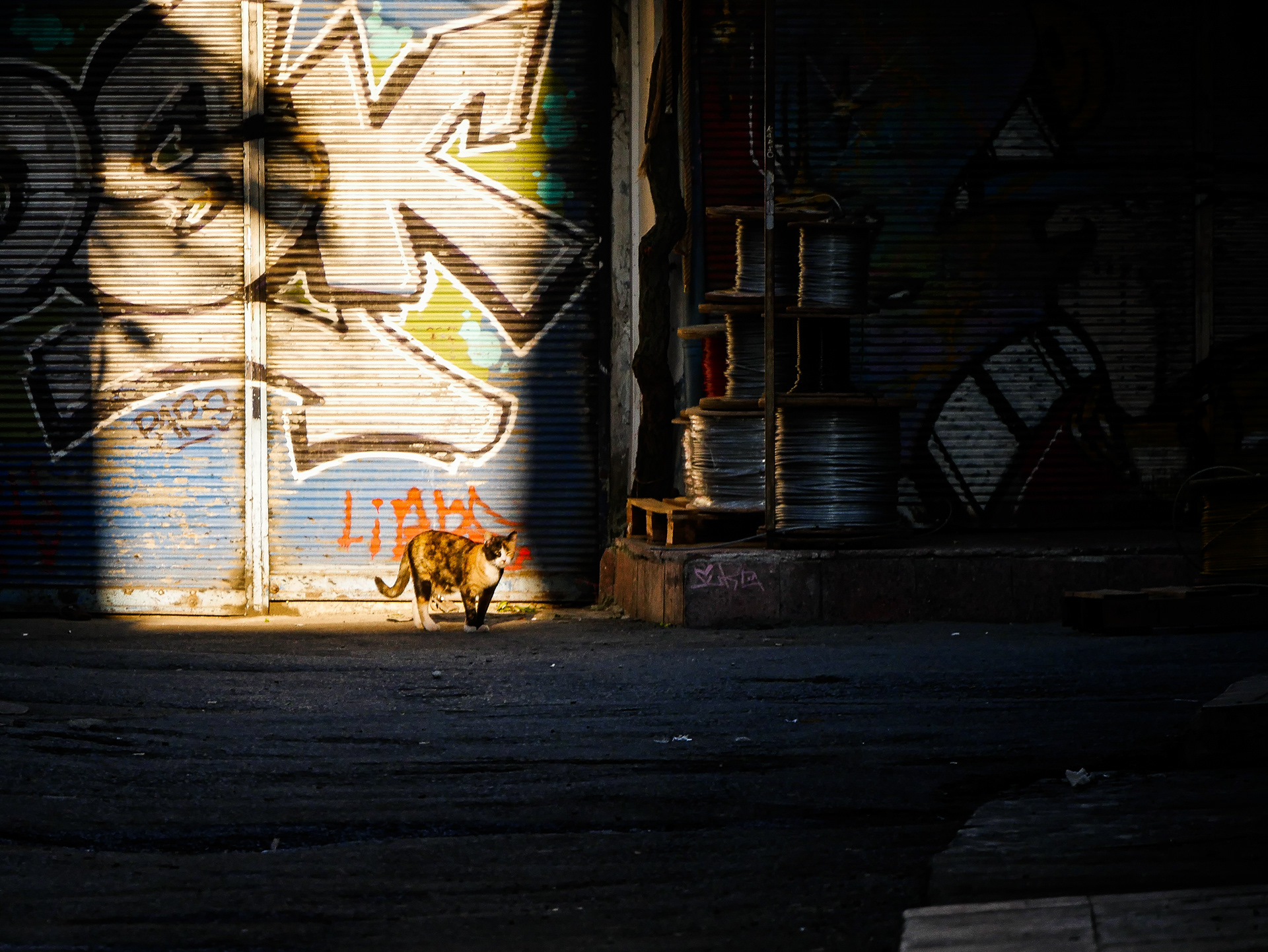 "Conspicuous" | Istanbul, Turkey | 2022