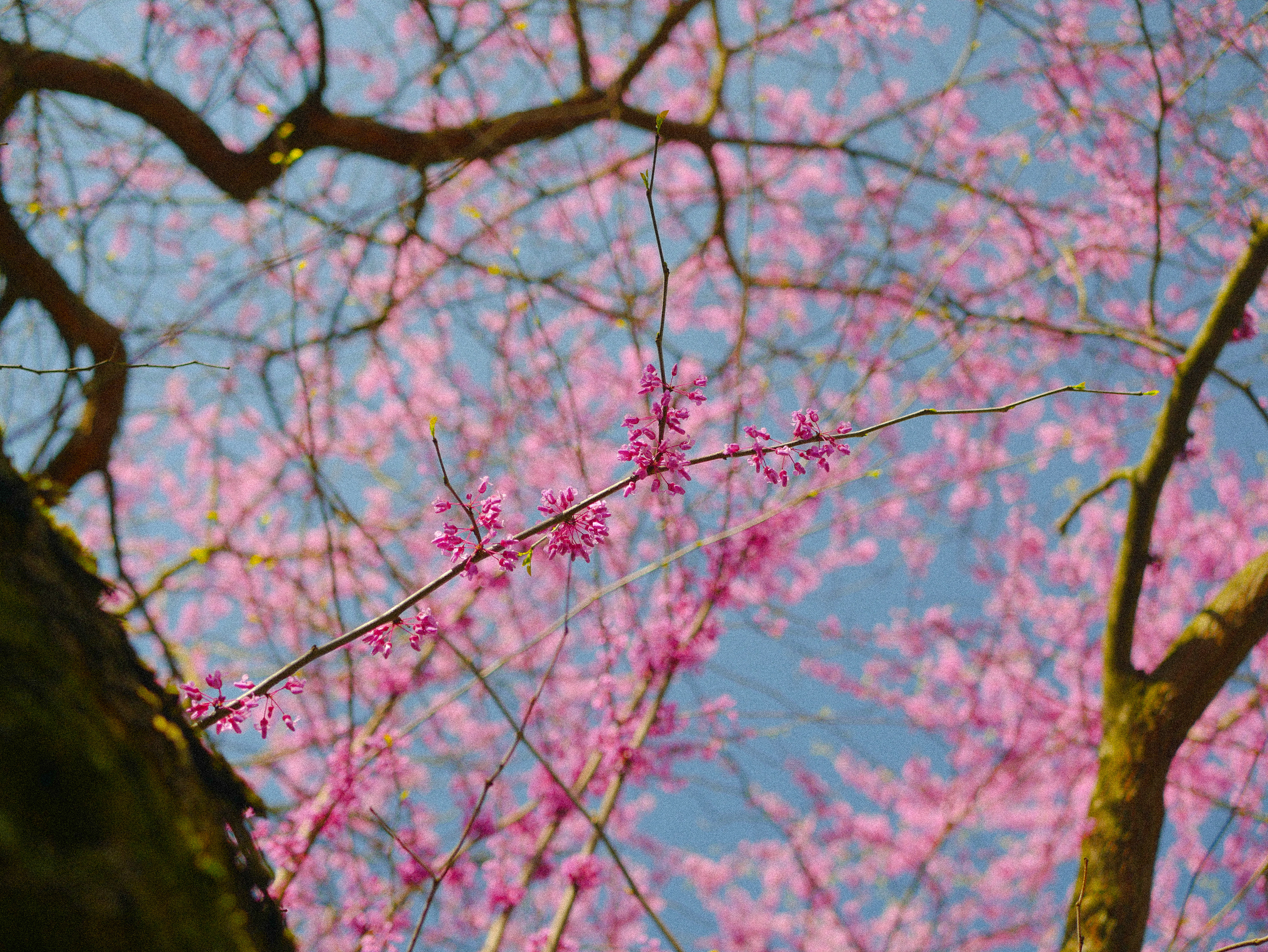 "Hello again" | 2022