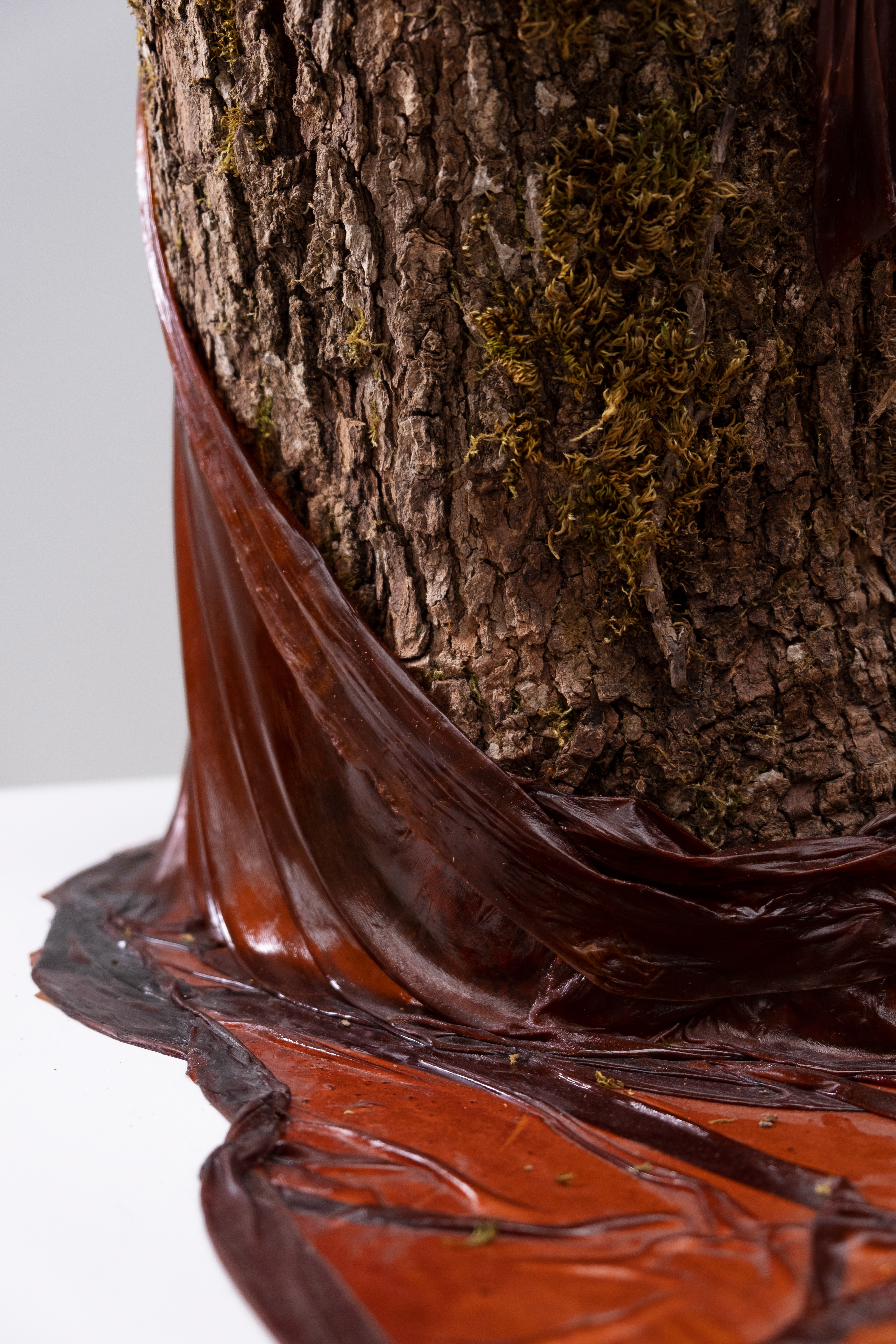 Kesa, (H x L x l) : 40 cm x 65 cm x 42 cm Bûche d’erable, laque sécrétion des cochenille asiatique, Kerria lacca 2019 – Oeuvre produite avec le soutien de la Région Île-de-France Talents Émergents