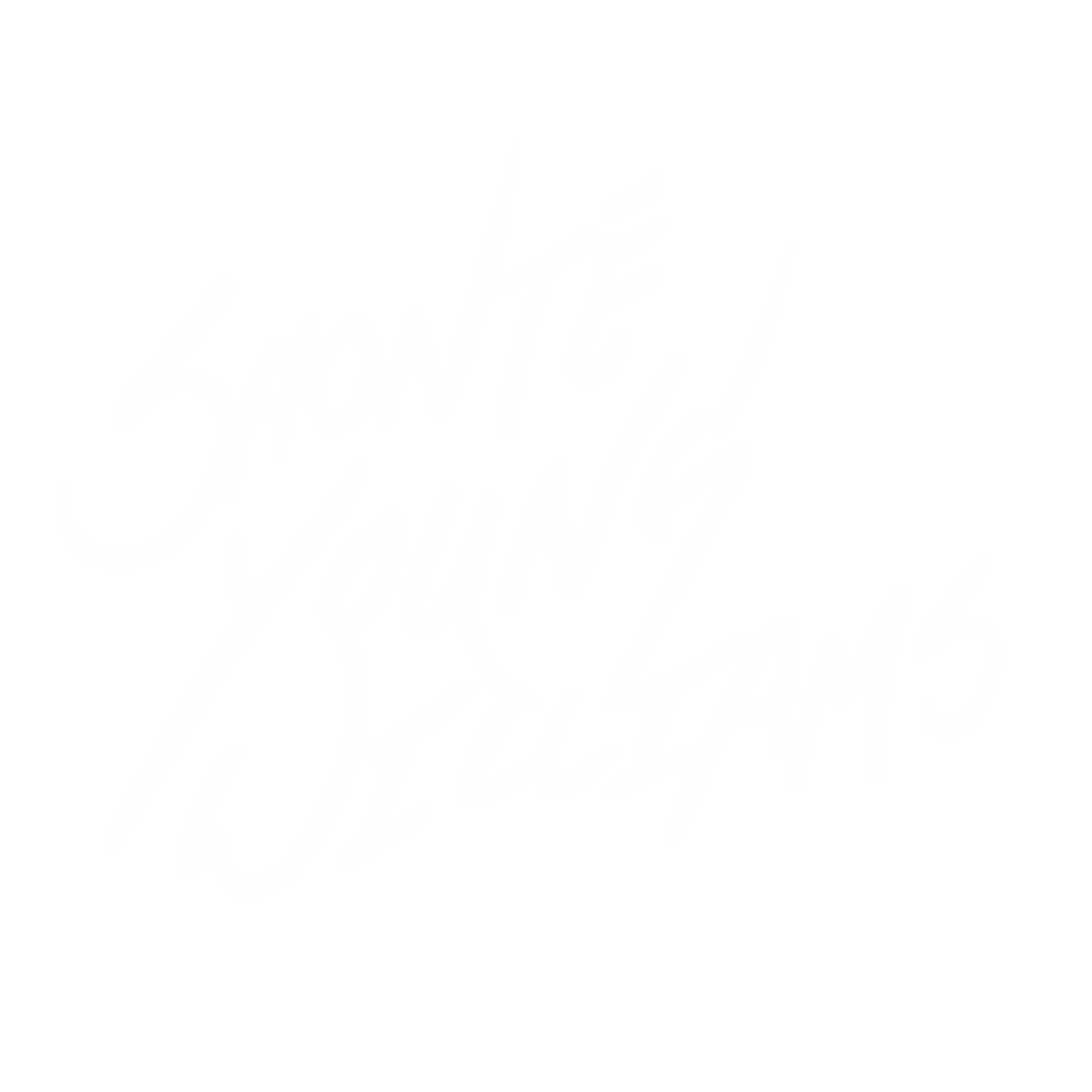 Shonté Young Williams