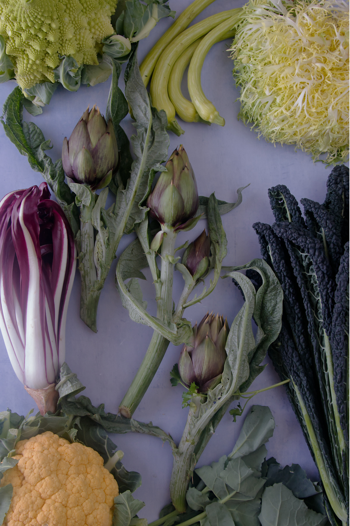 Overhead view of fresh Italian vegetables including Romanesco broccoli, artichokes, radicchio, yellow cauliflower, kale, chicory, and zucchini.