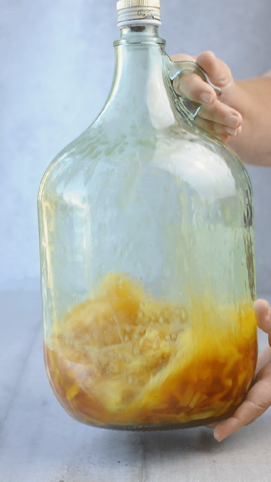 A large glass jug being swirled by hand to mix orange peels and liquid for homemade liqueur.